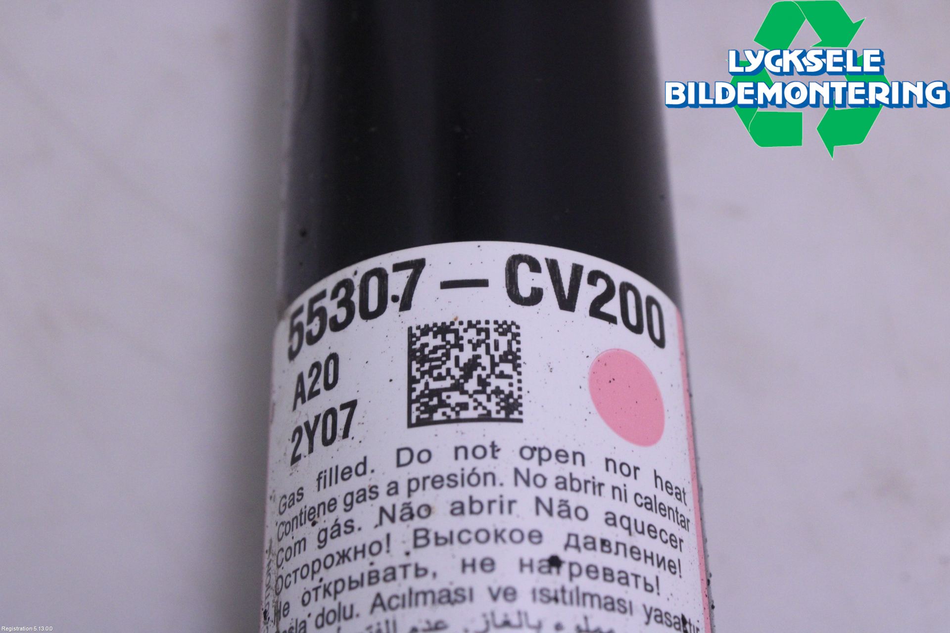 Kia EV6 (CV) 22- Stötdämpare Bak