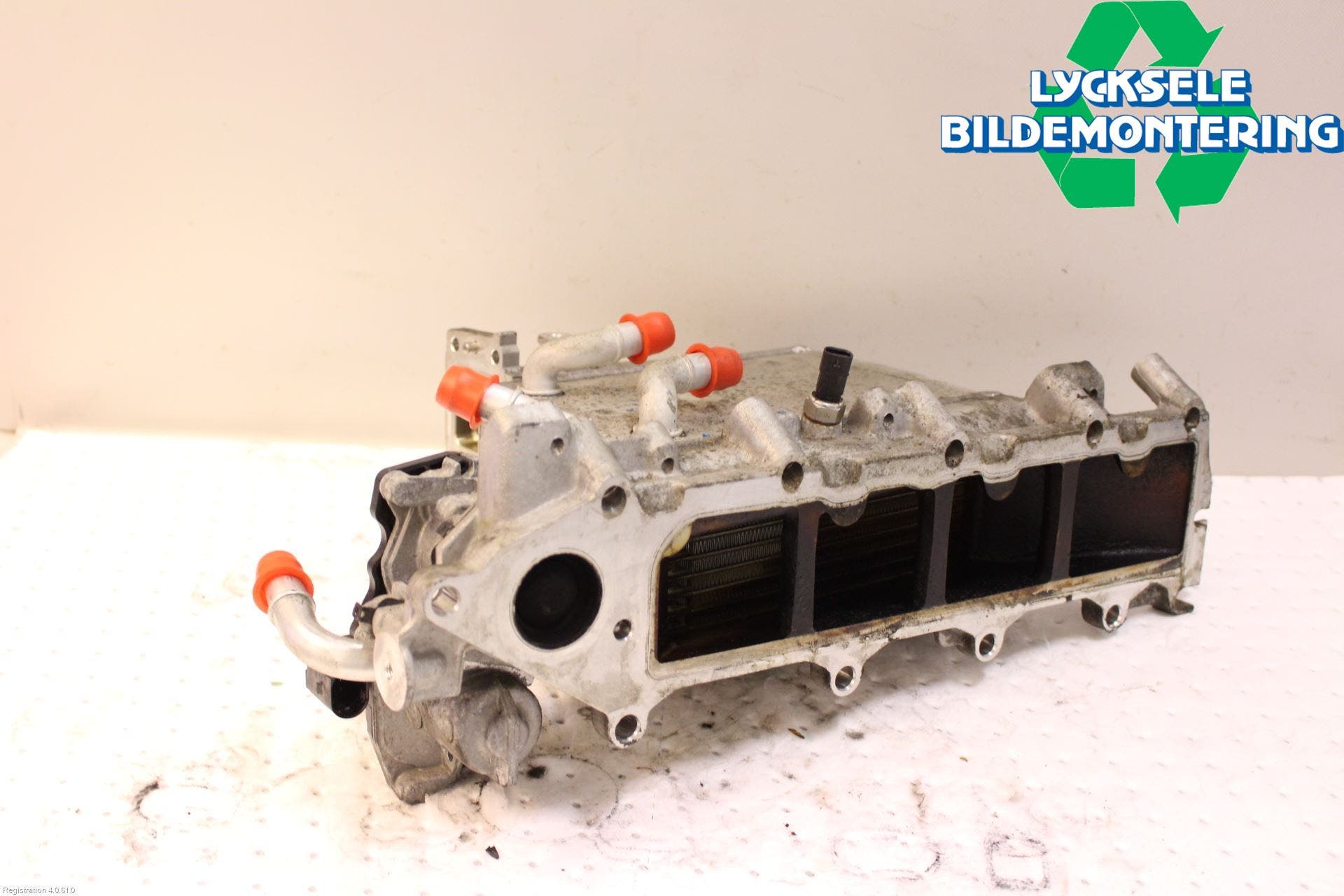 Volkswagen VW GOLF / E-GOLF VII 13-20 Grenrör Insug