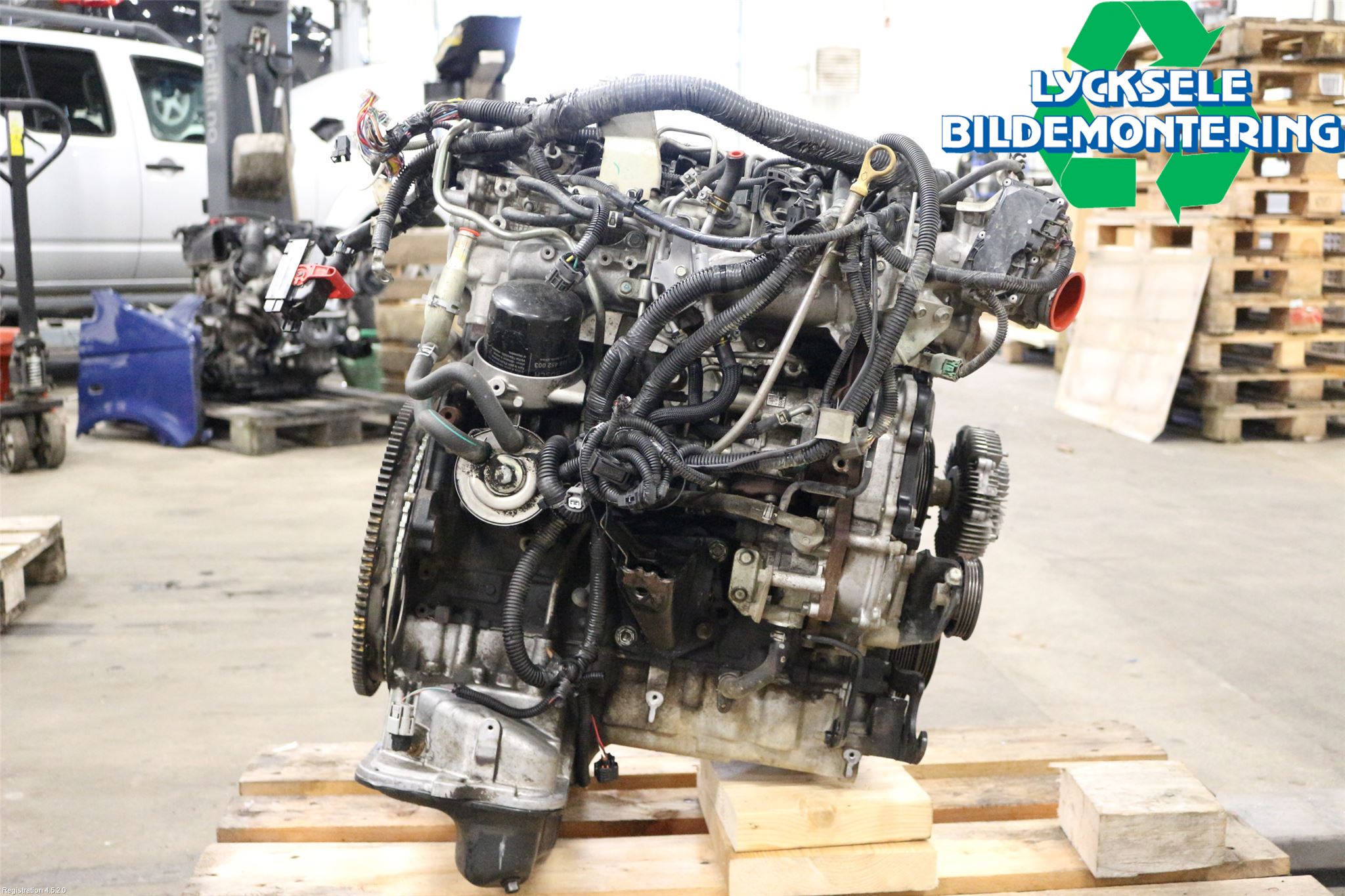 Nissan NAVARA 05-16 Motor Diesel