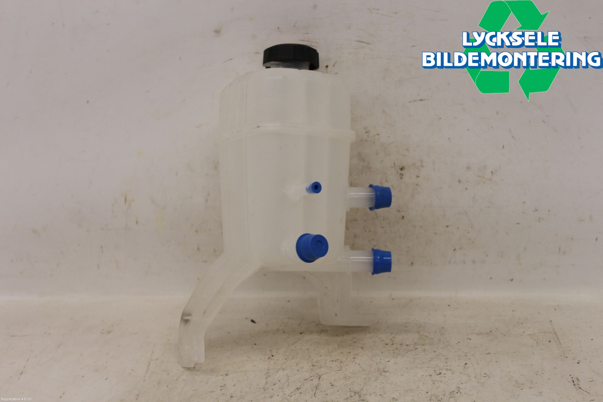 Kia NIRO (DE) 17-22 Expansionstank