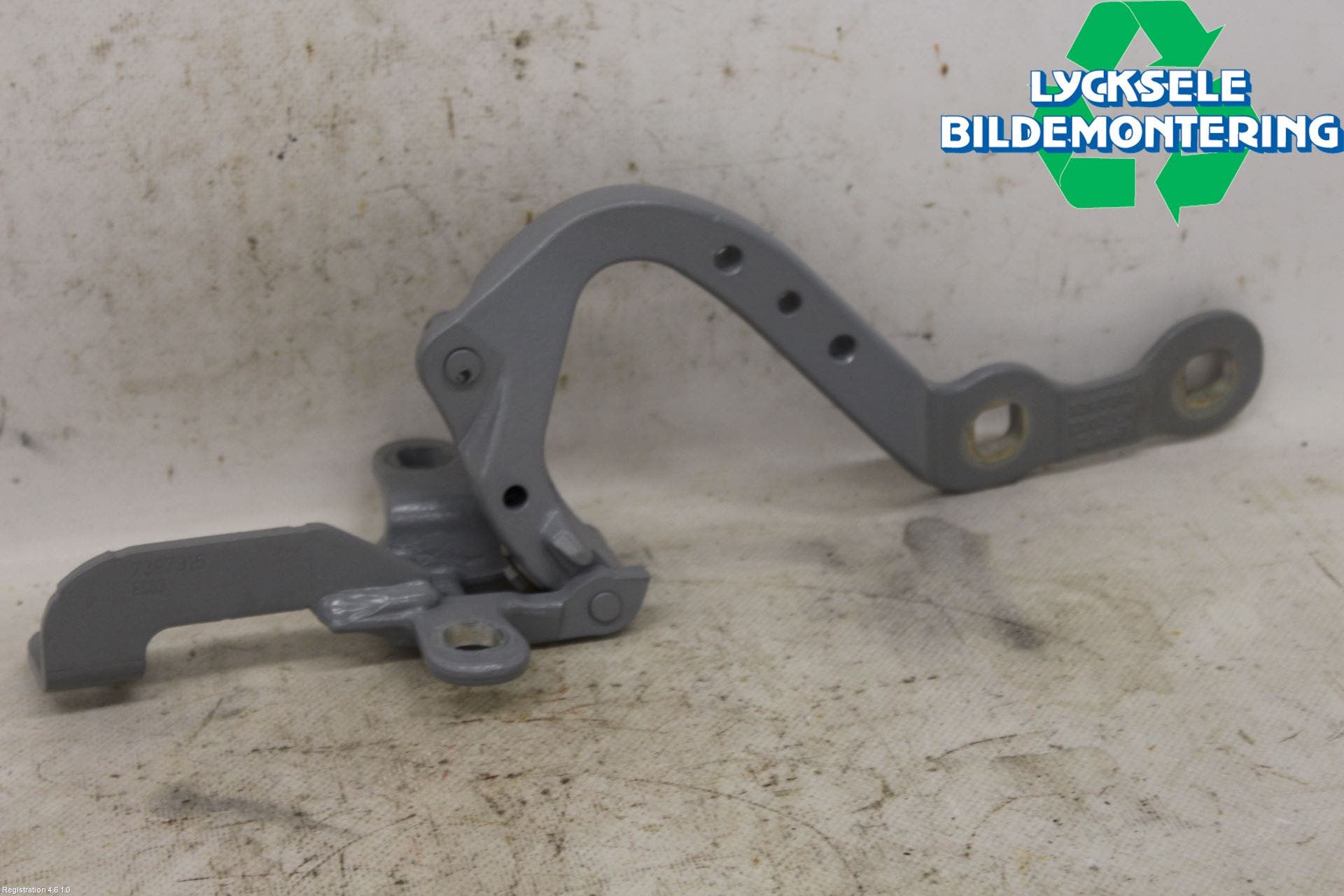 BMW X3 G01 18- Bakluckegångjärn Vä