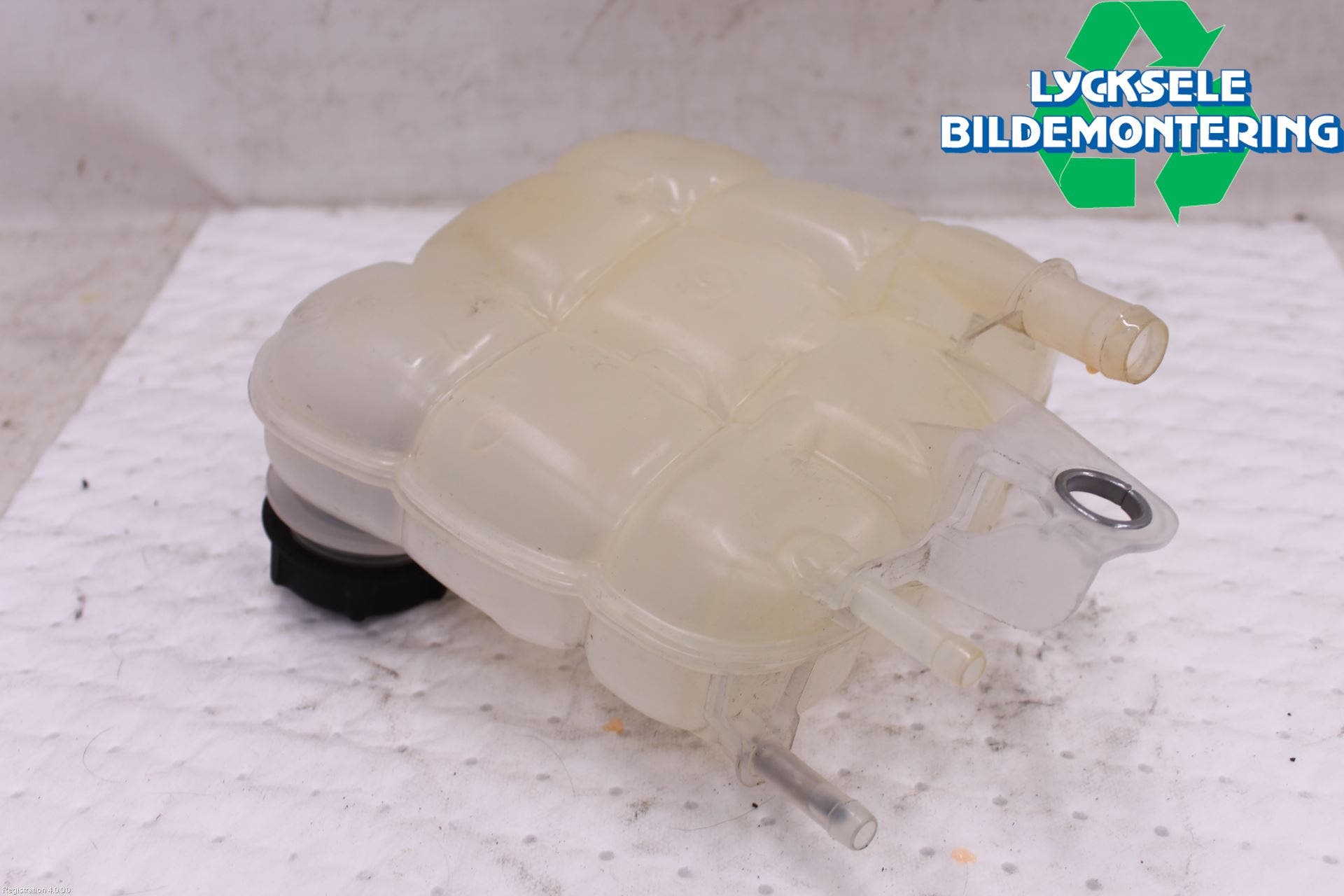 Ford FOCUS 19- Expansionstank