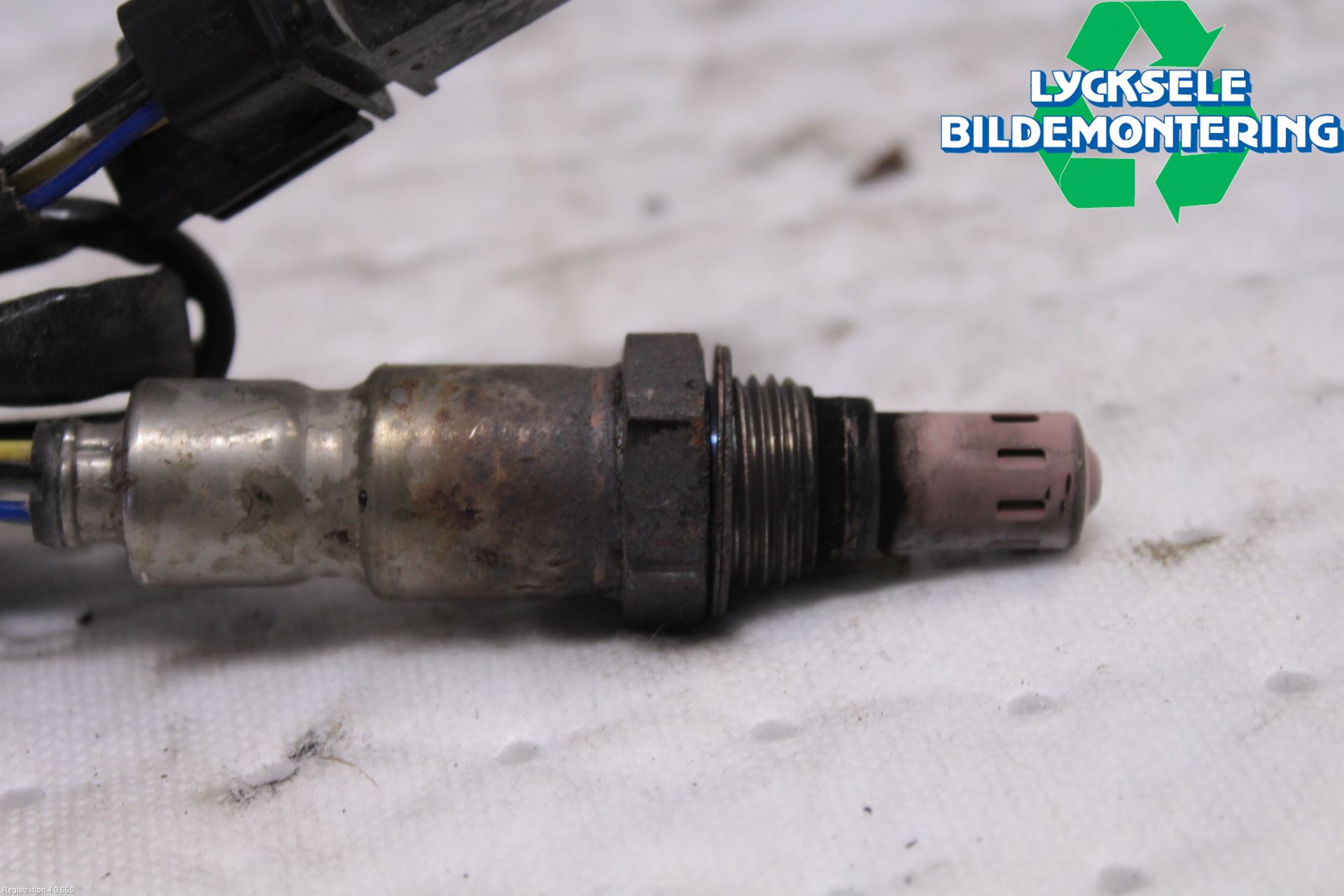 Volkswagen VW TRANSP/CARAVELLE (T6) 16-22 Injlambdasond
