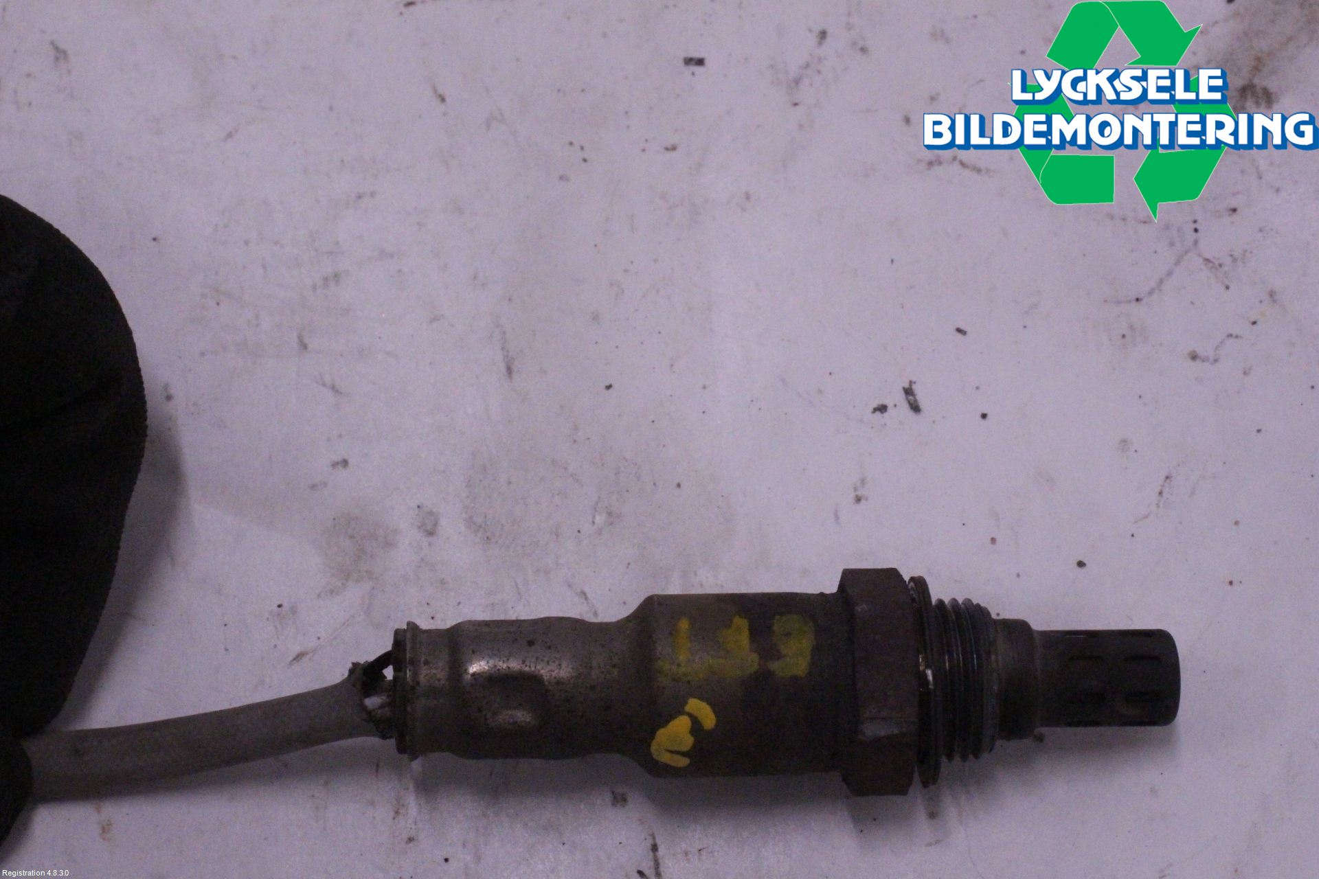 Dodge PICK UP RAM 81- Injlambdasond