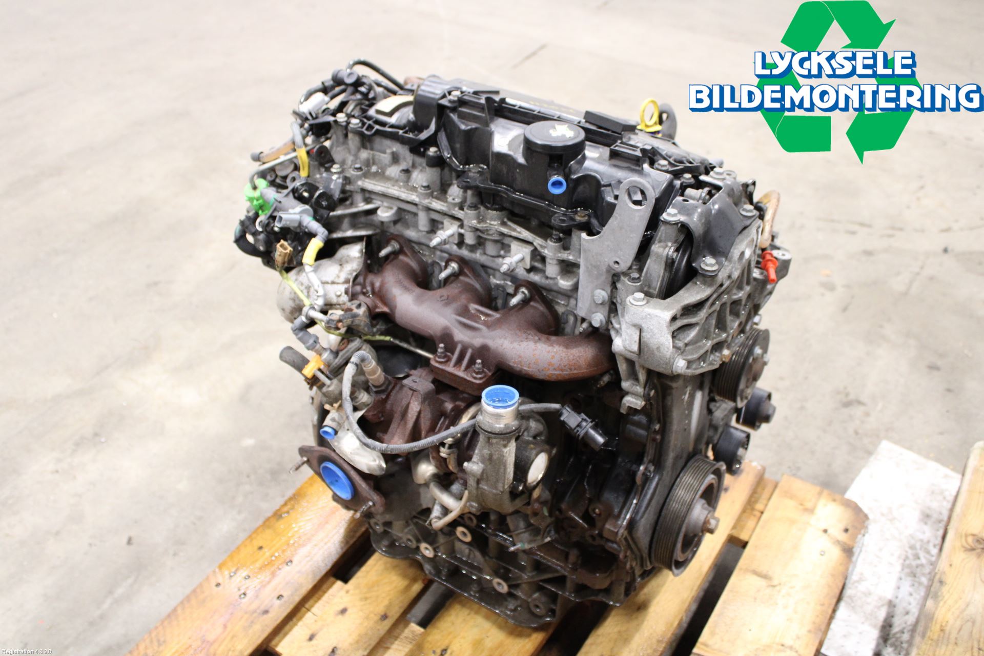 Renault TRAFIC   02-14 Motor Diesel