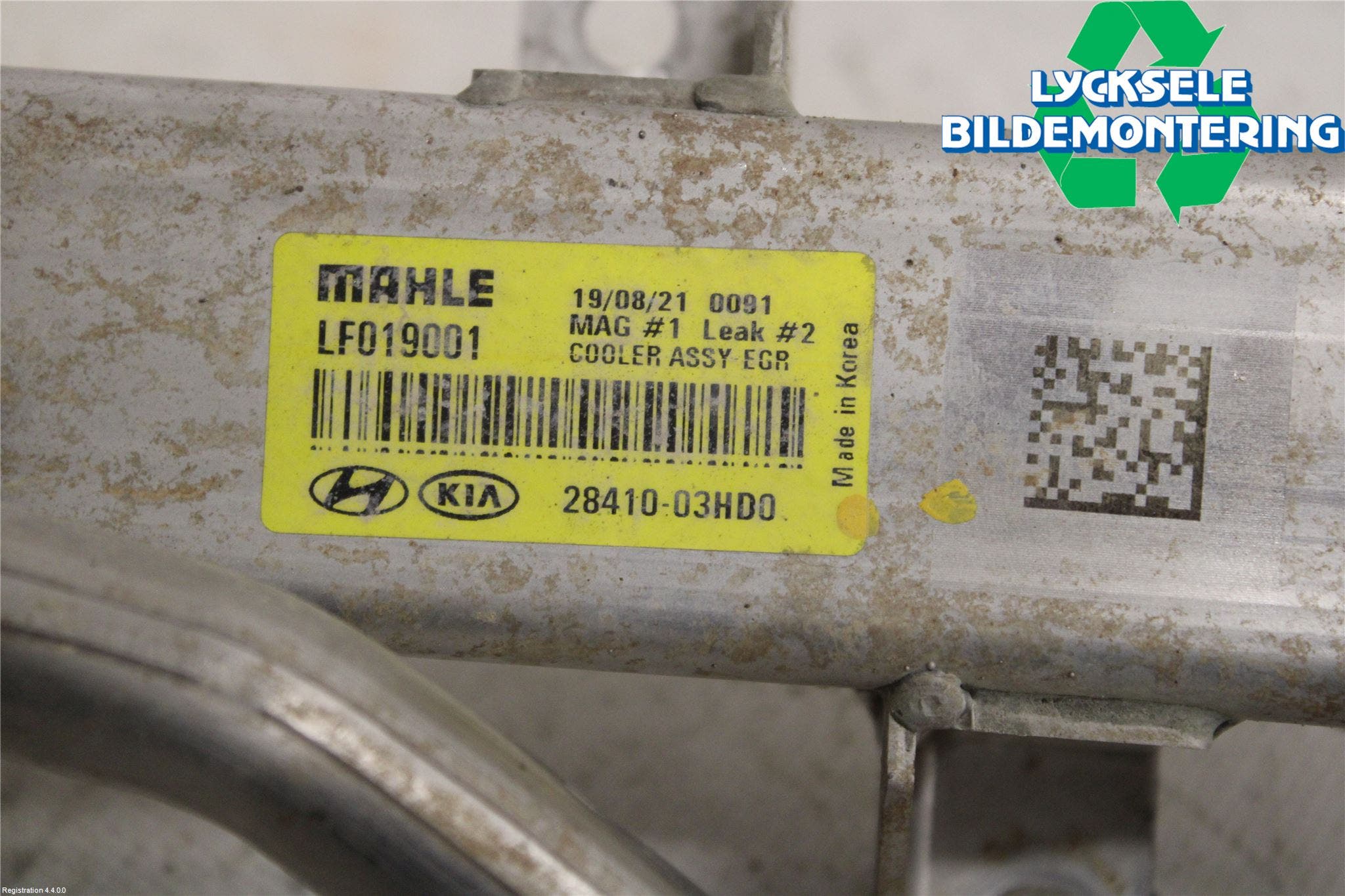 Hyundai IONIQ AE 17-22 Avgaskylare