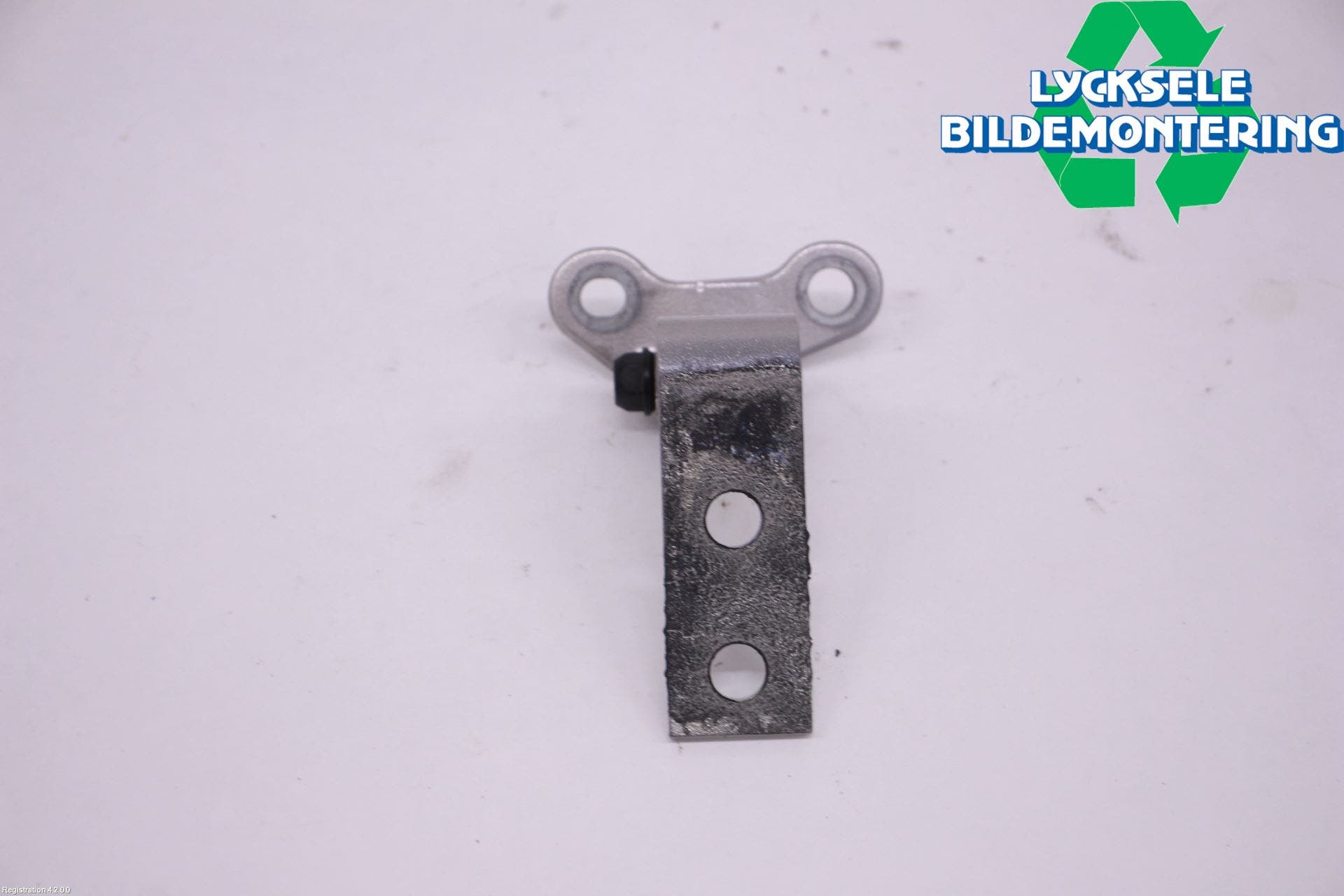 Nissan X-TRAIL T33 22- Dörrgångjärn