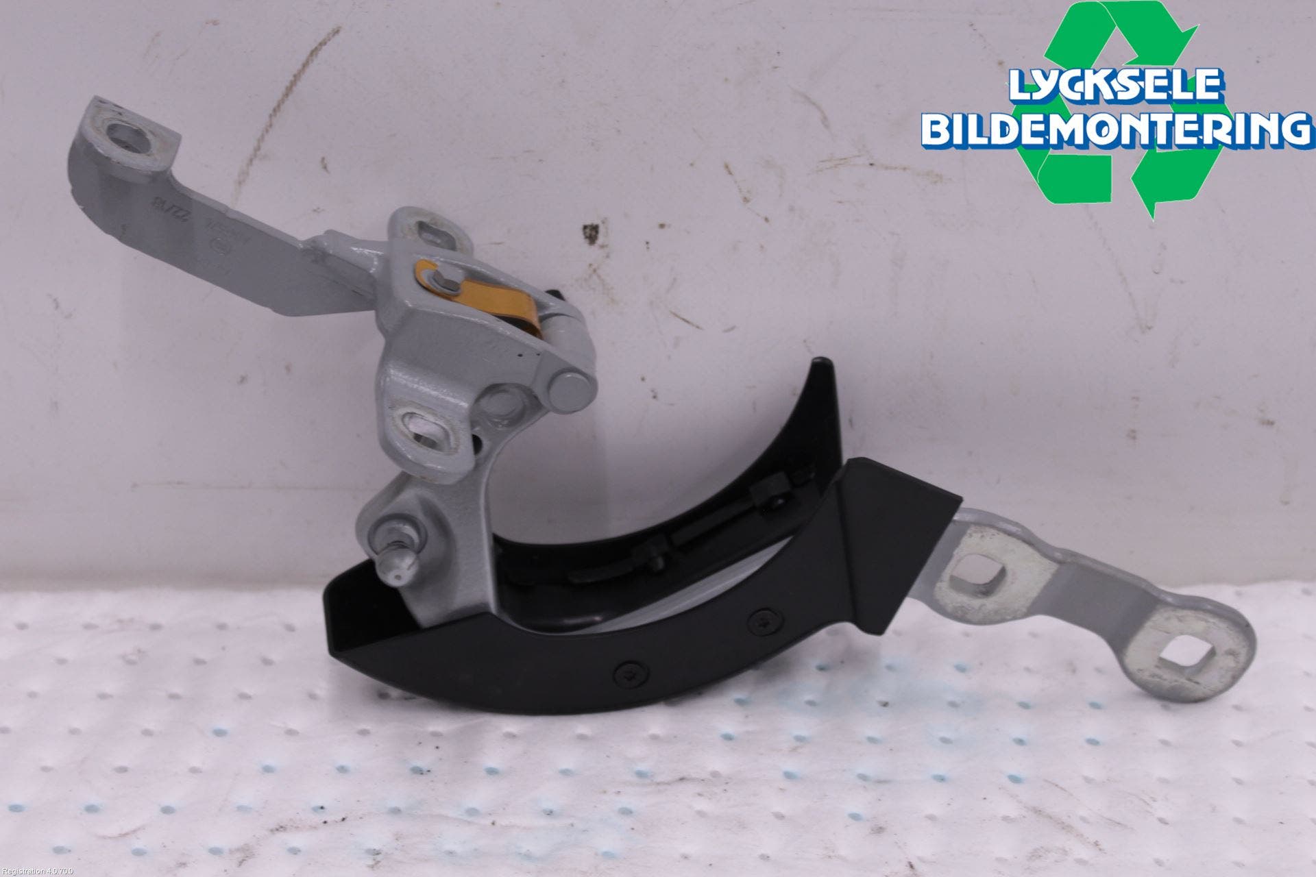 BMW X3 G01 18- Bakluckegångjärn Vä