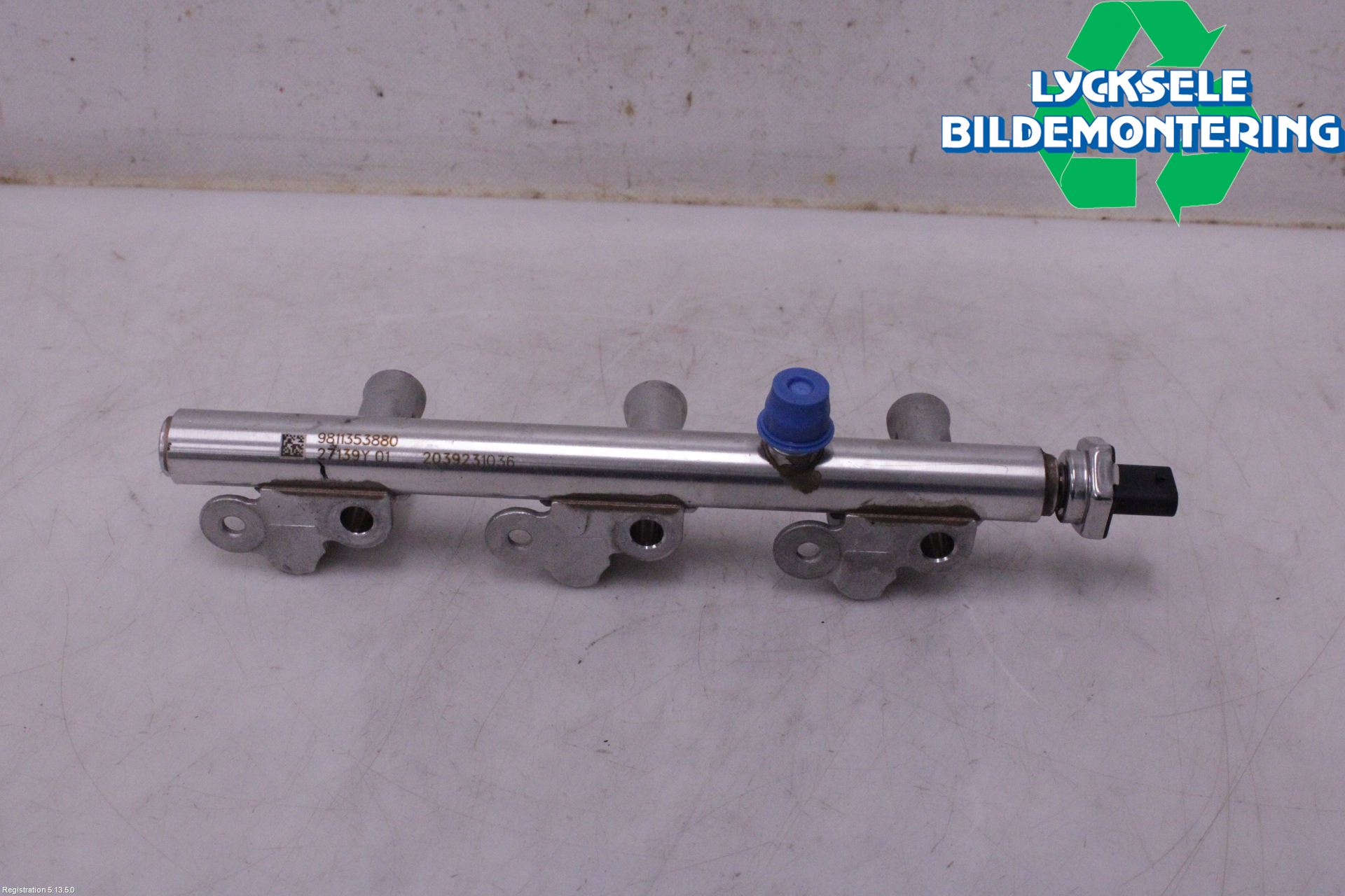 Peugeot 3008 17-24 Inj. Fuelrail