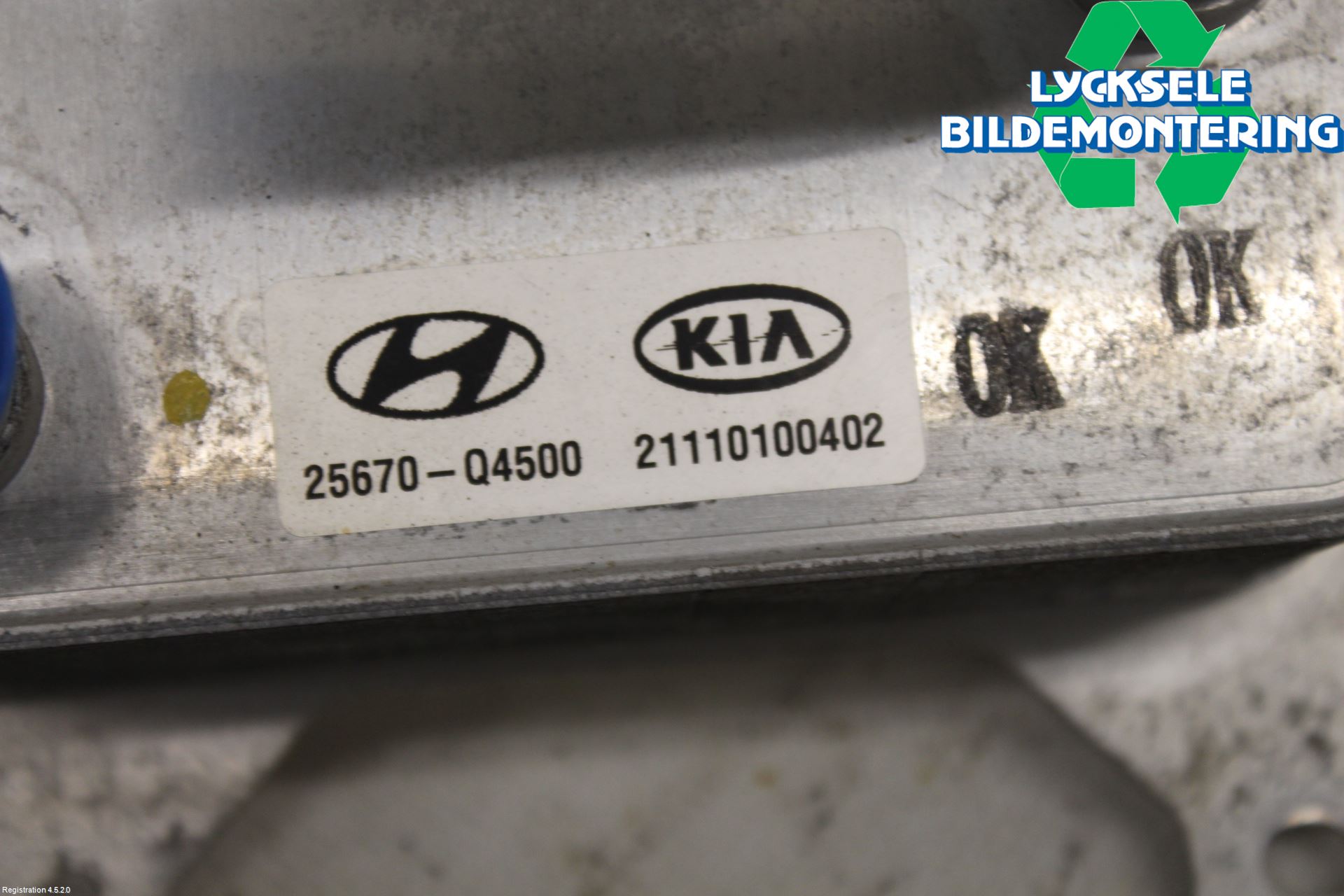 Kia NIRO (DE) 17-22 Oljekylare Automat
