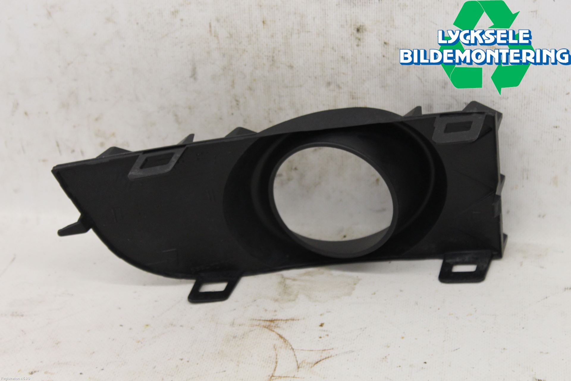 Renault LAGUNA III 08-10 Dimljussarg Fram