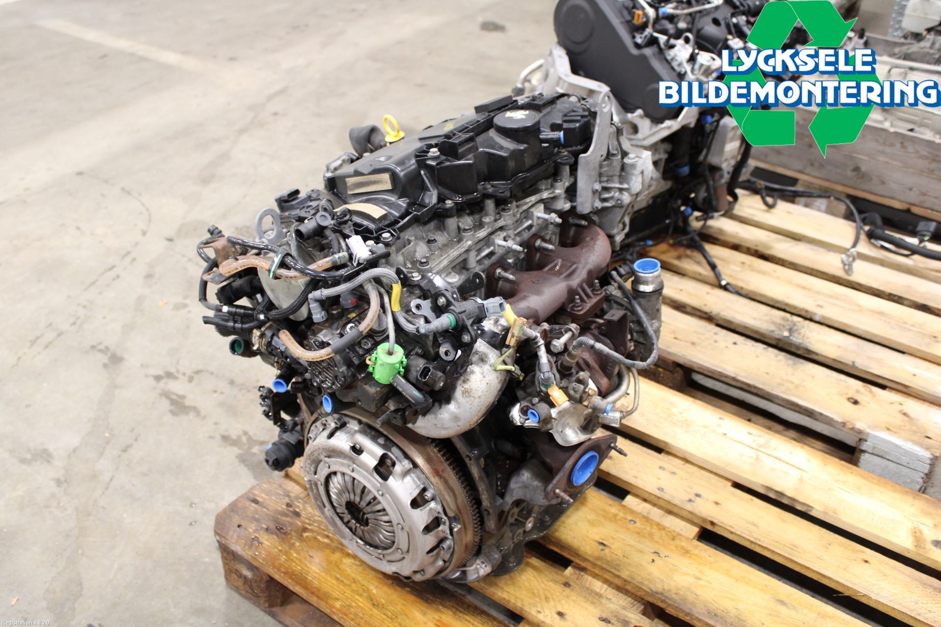 Renault TRAFIC   02-14 Motor Diesel