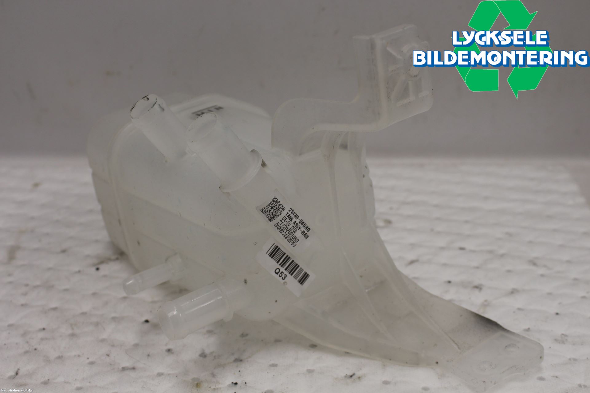 Kia NIRO (DE) 17-22 Expansionstank