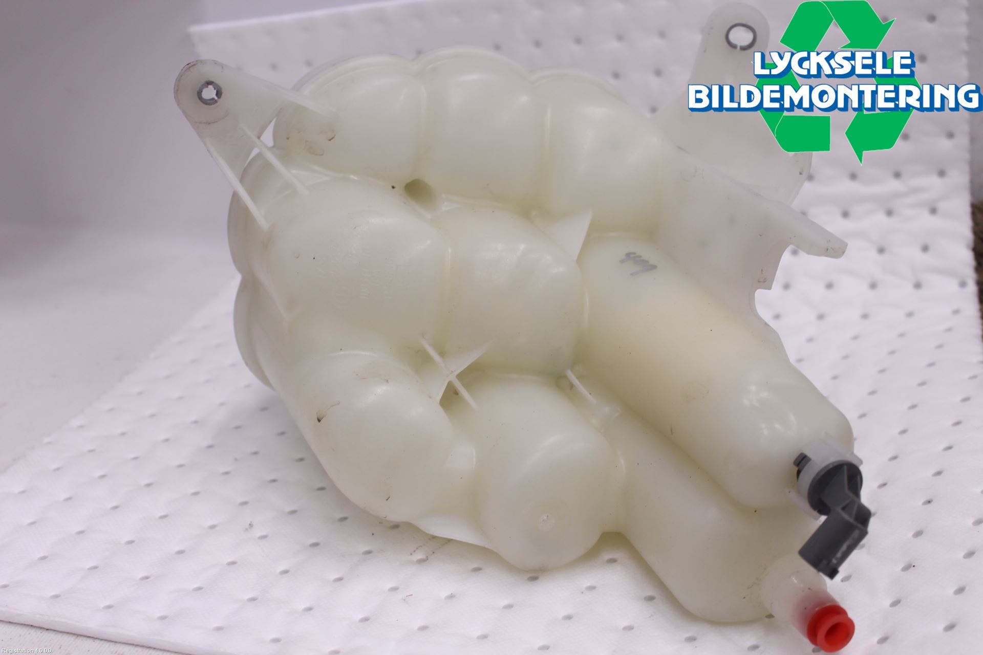 BMW X5 F15 13-18 Expansionstank