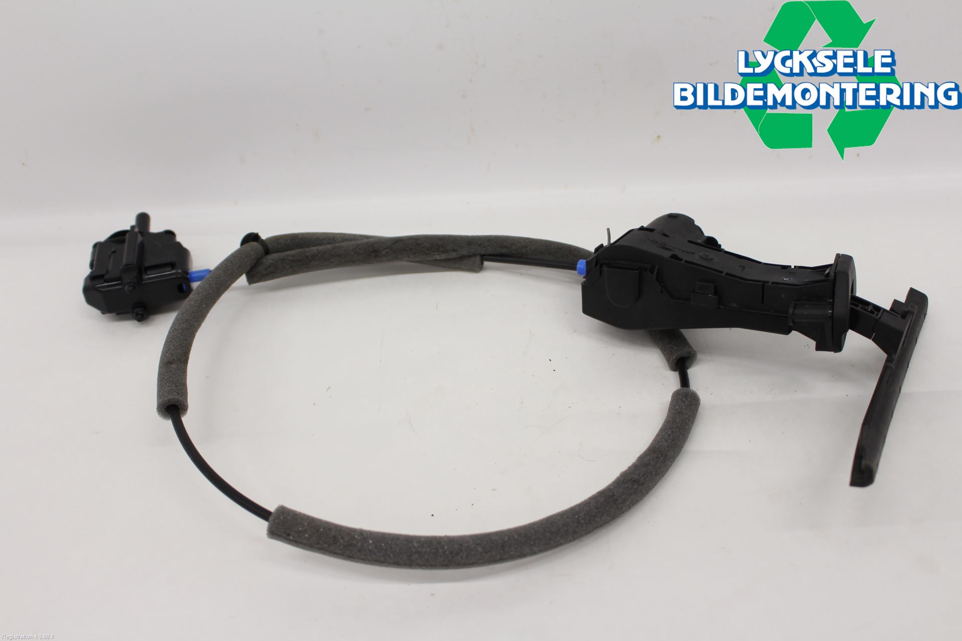 Ford KUGA/KUGA PHEZ/FHEV 20- Dörr Deformationselement