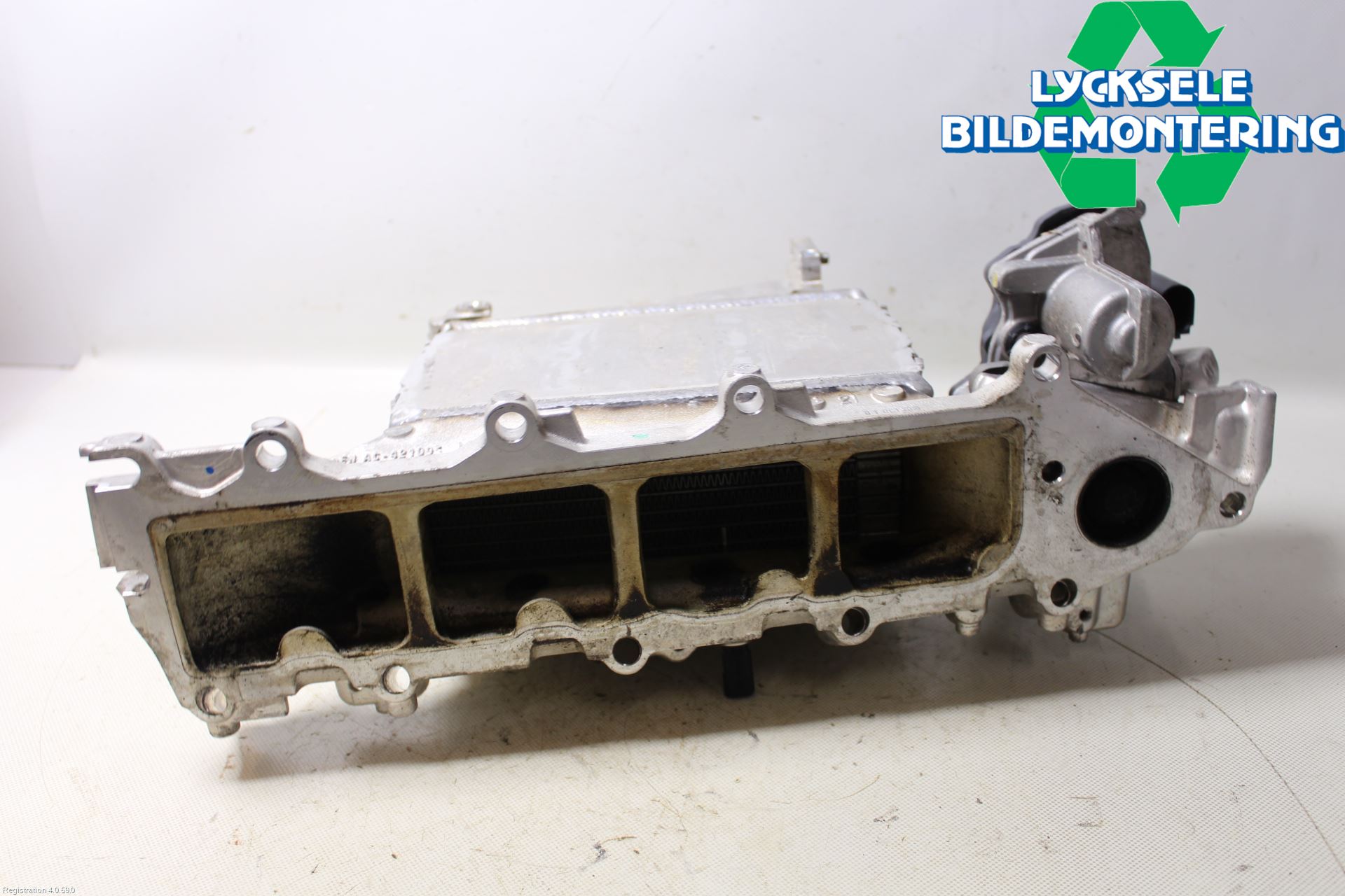 Volkswagen VW GOLF / E-GOLF VII 13-20 Grenrör Insug