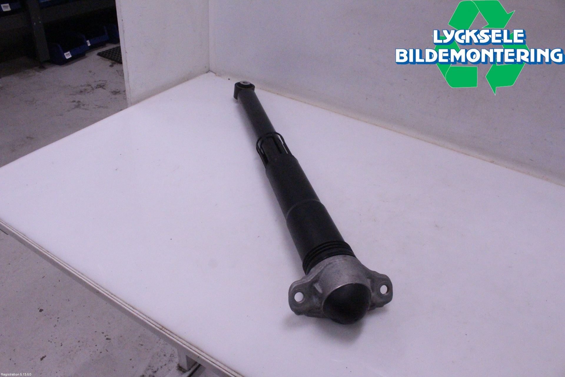 Volkswagen VW GOLF / E-GOLF VIII 20- Stötdämpare Bak