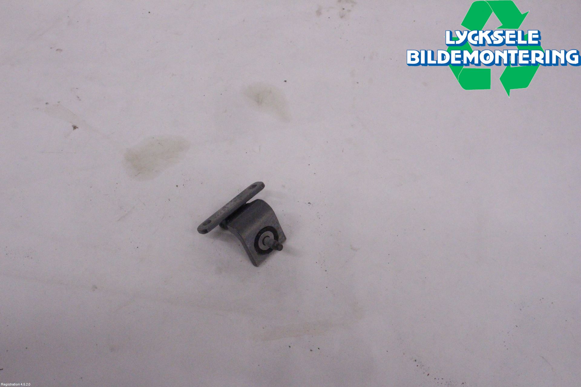 Audi E-TRON, S GE 19- Bakluckegångjärn Hö