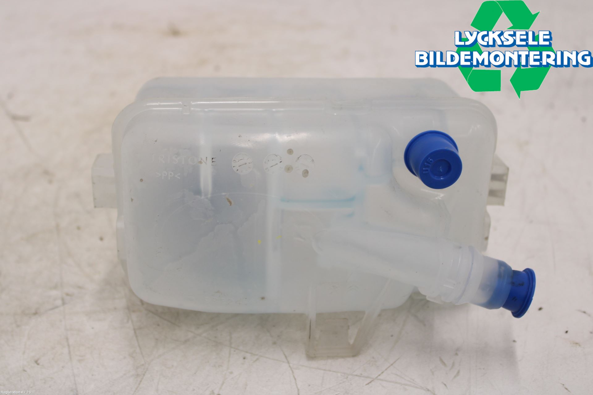 Peugeot 3008 17-24 Expansionstank