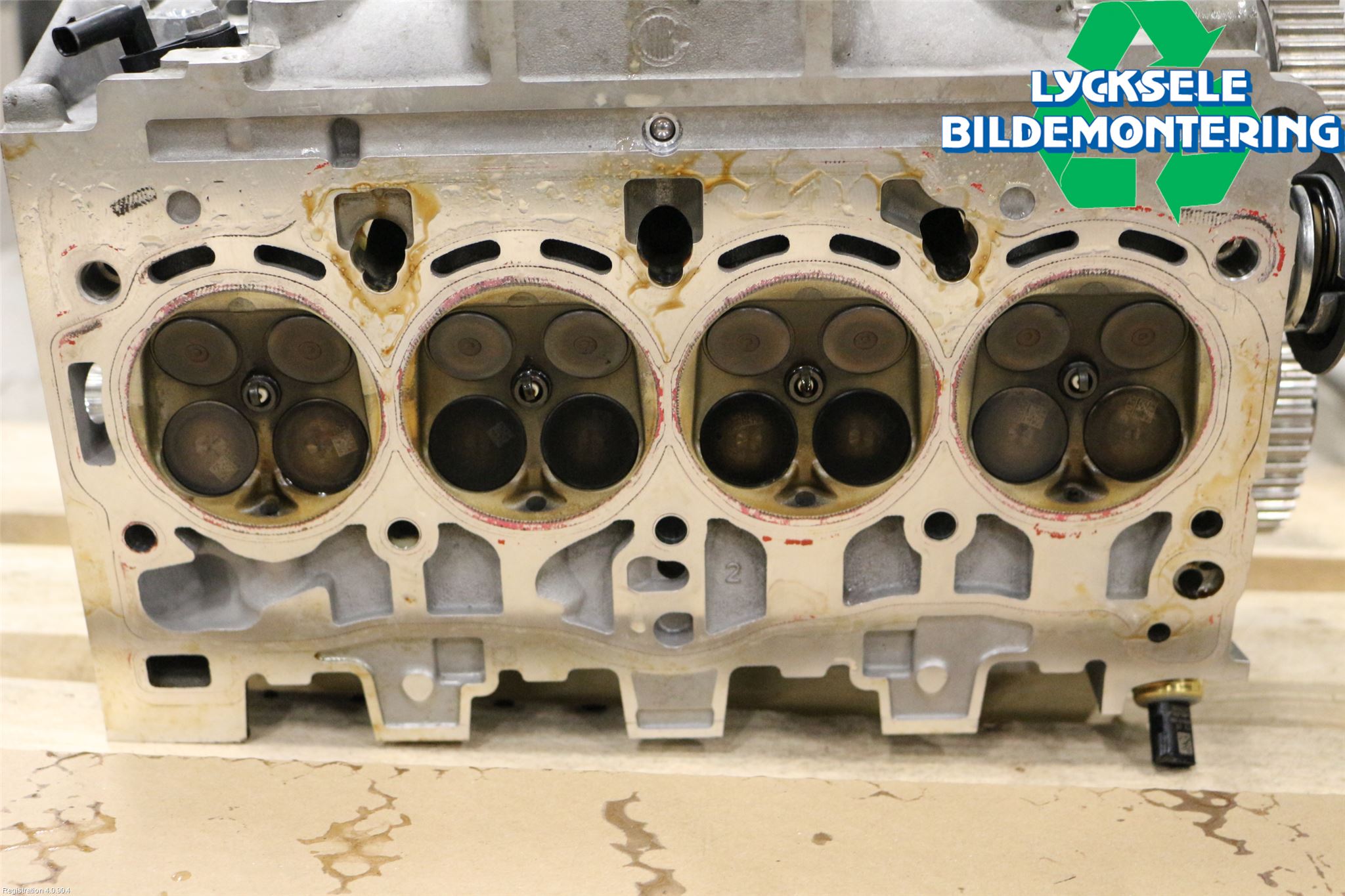 Volkswagen VW GOLF / E-GOLF VIII 20- Topplock Bensin