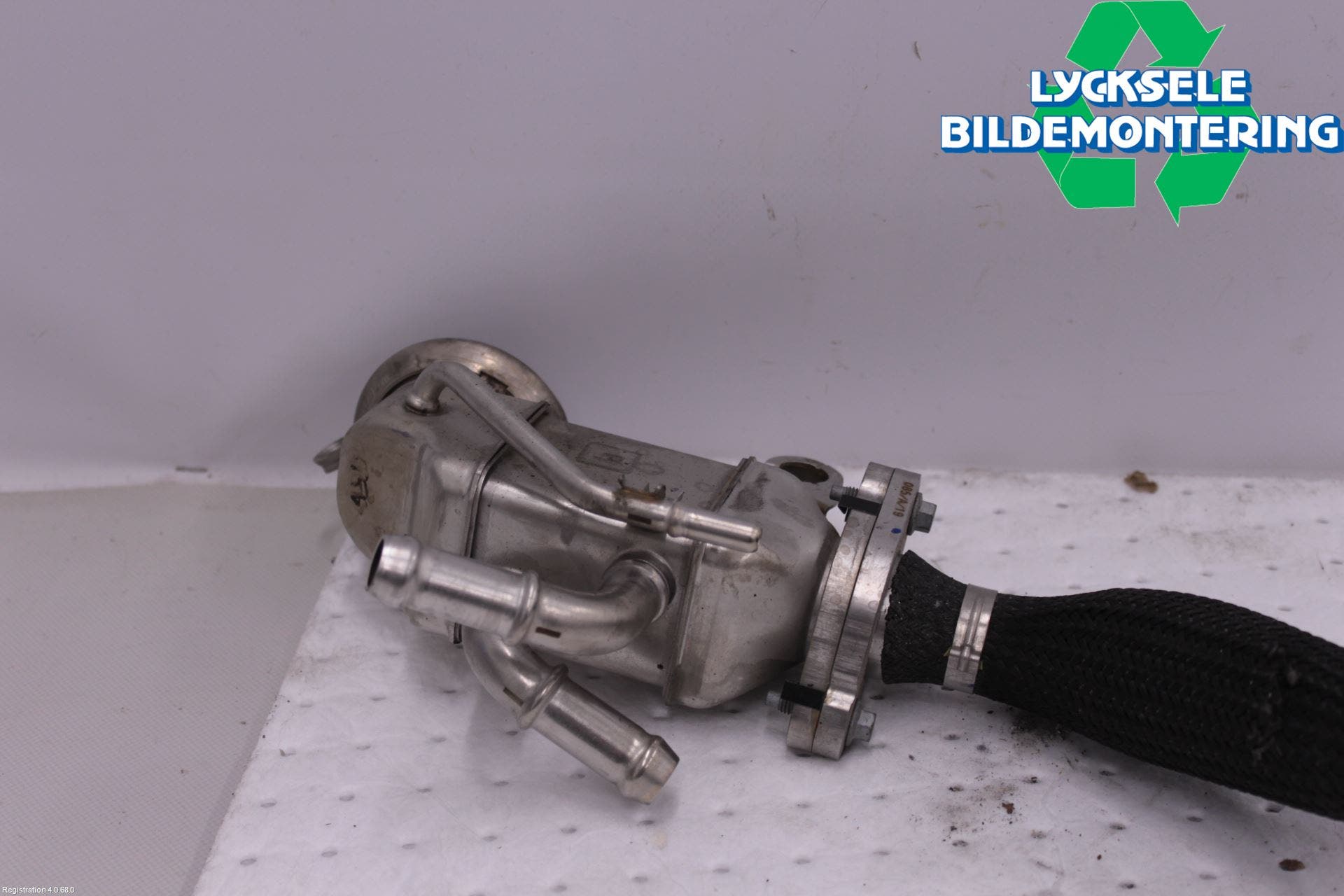 Ford FOCUS 19- Avgaskylare