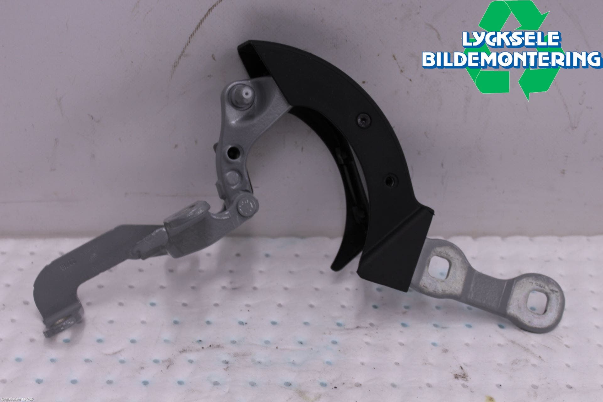 BMW X3 G01 18- Bakluckegångjärn Hö