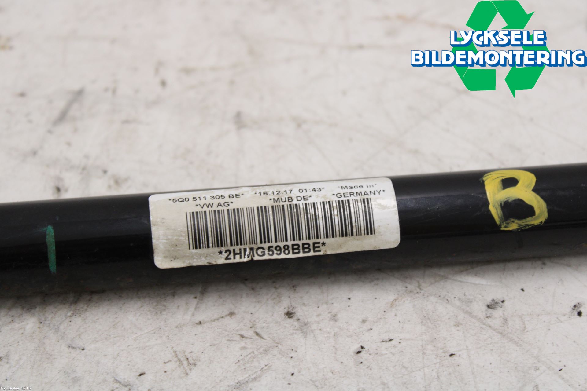 Volkswagen VW T-ROC 18- Krängningshämmare Bak