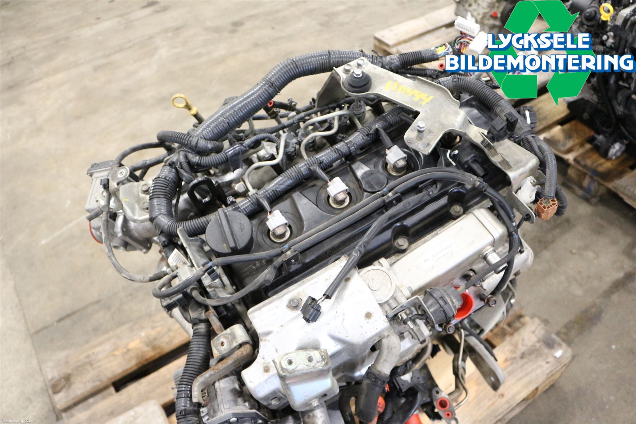 Nissan NAVARA 05-16 Motor Diesel