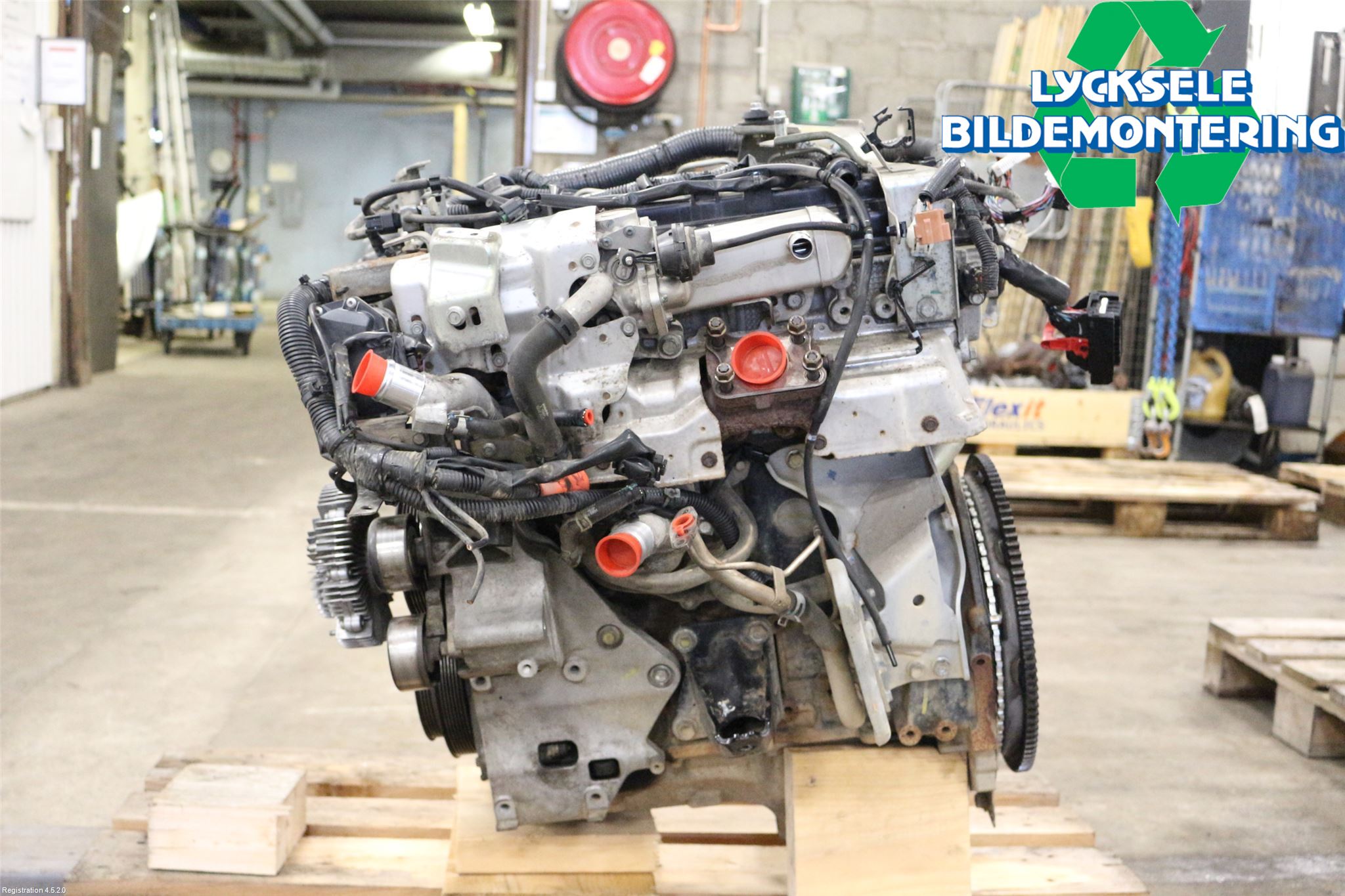 Nissan NAVARA 05-16 Motor Diesel