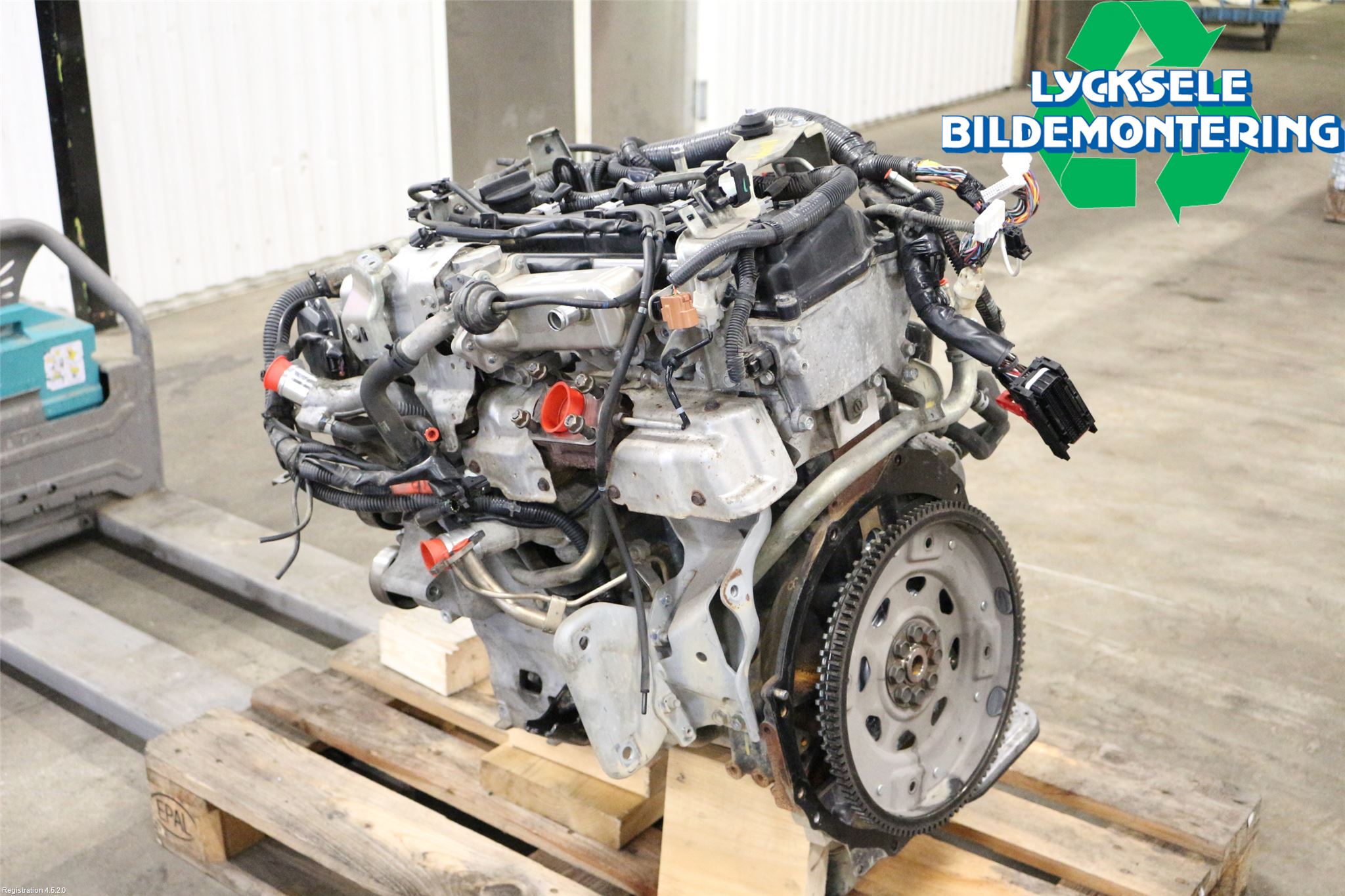 Nissan NAVARA 05-16 Motor Diesel