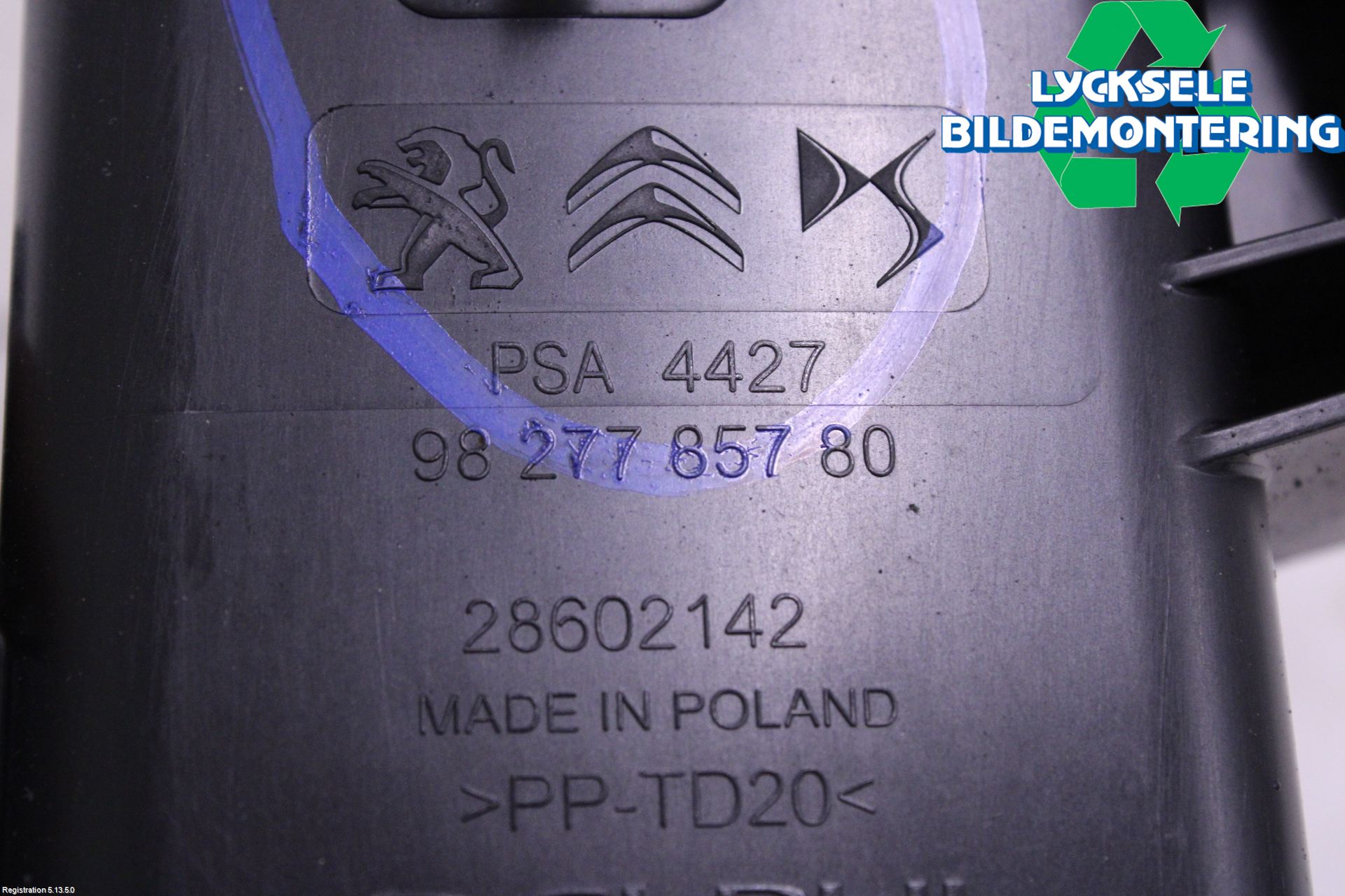 Peugeot 3008 17-24 Bränsle Kolkanister