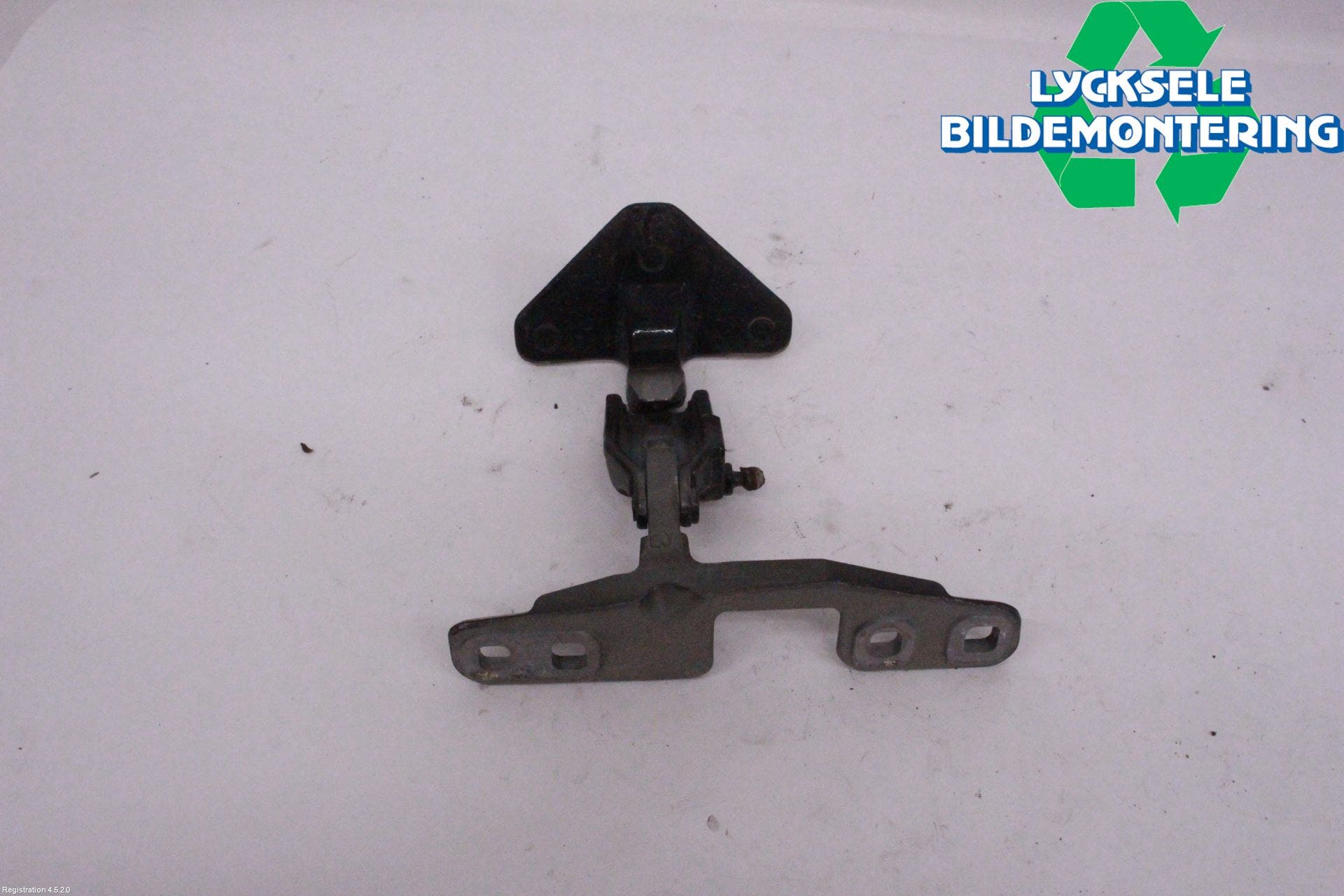 BMW X7 G07 19- Bakluckegångjärn Hö