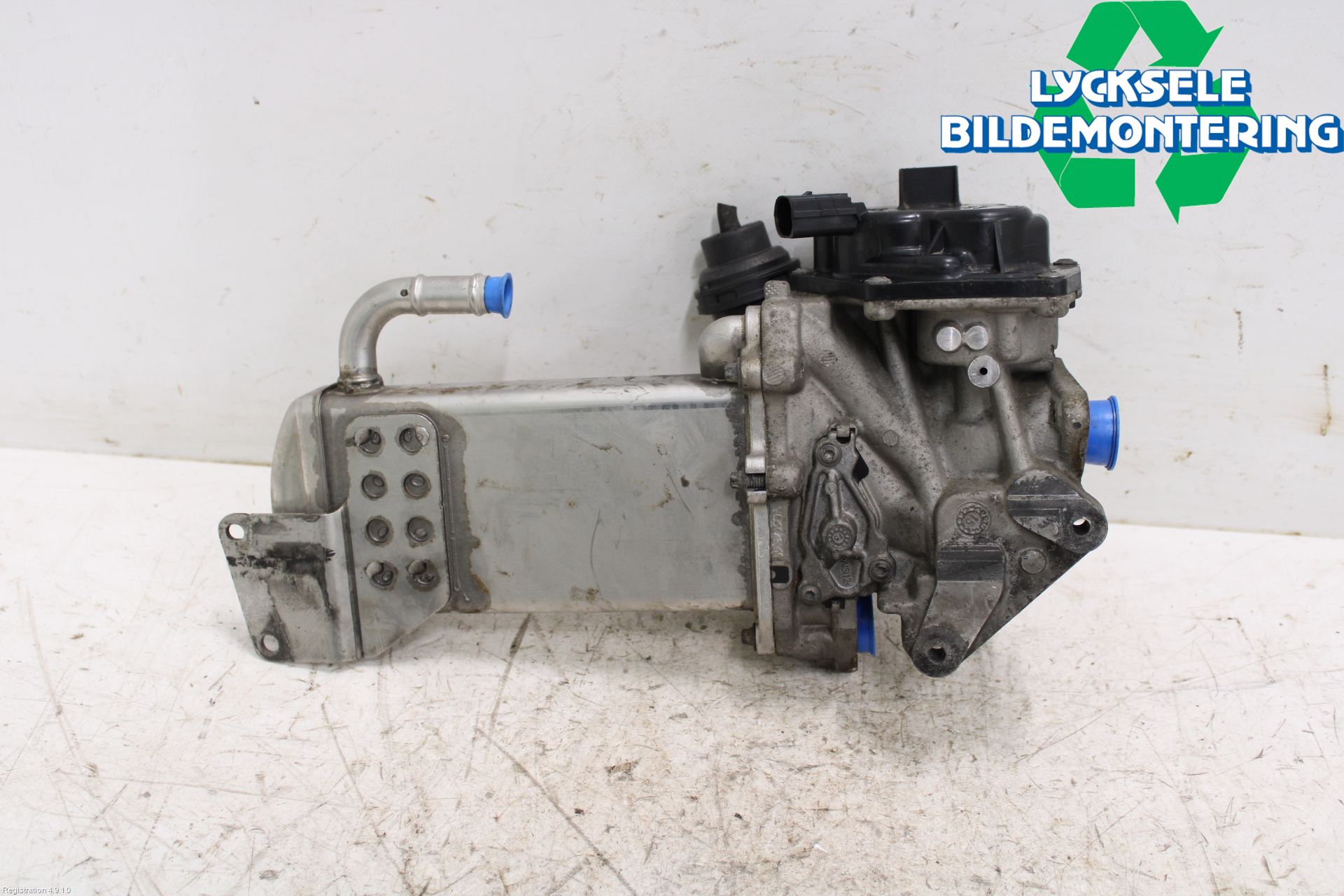Volkswagen VW TRANSP/CARAVELLE (T6) 16-22 Avgaskylare