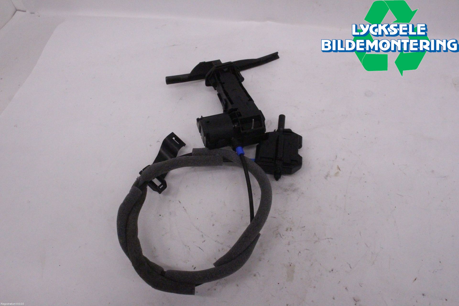 Ford KUGA/KUGA PHEZ/FHEV 20- Dörr Deformationselement