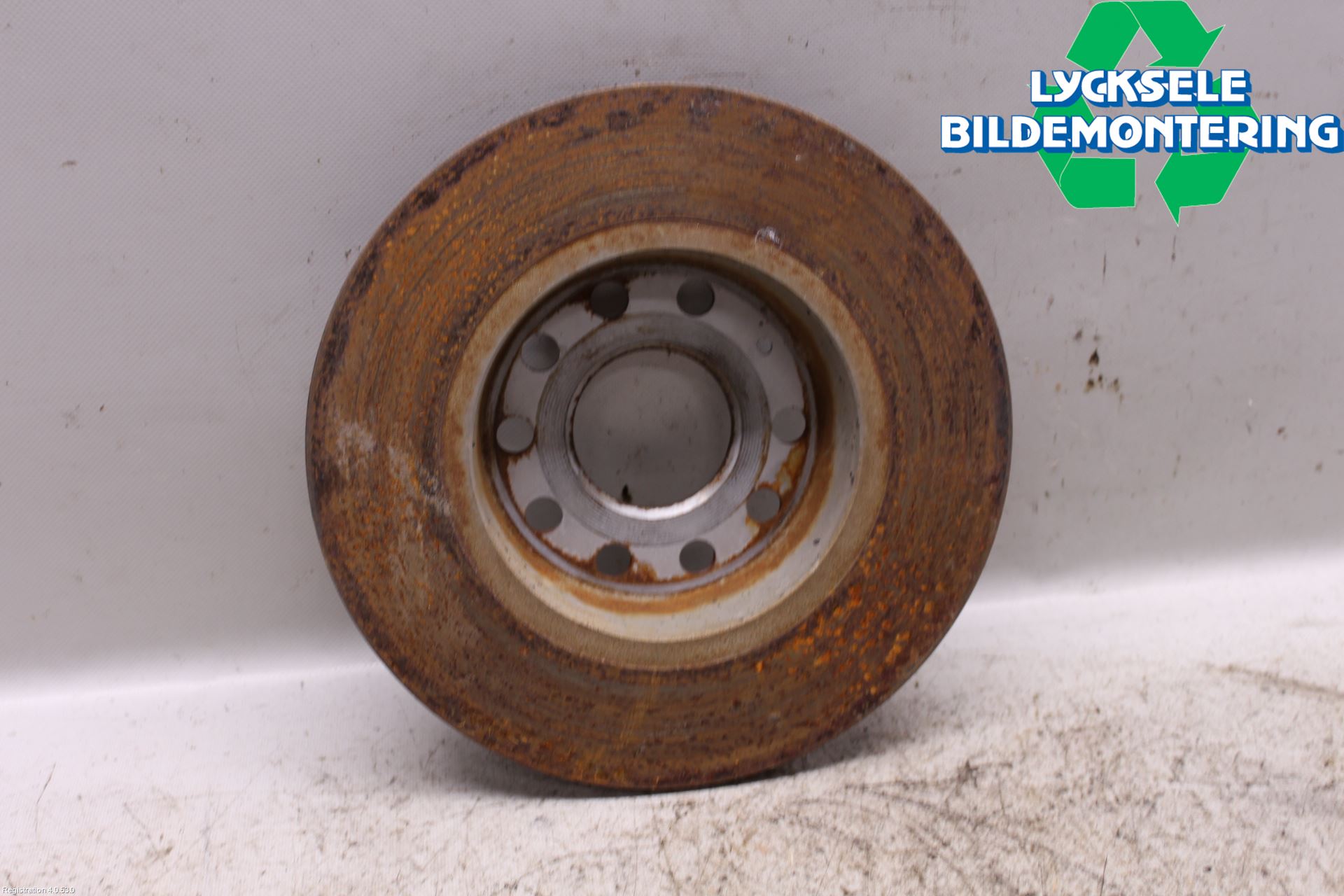 Skoda OCTAVIA (5E) 13-20 Bromsskiva Bak