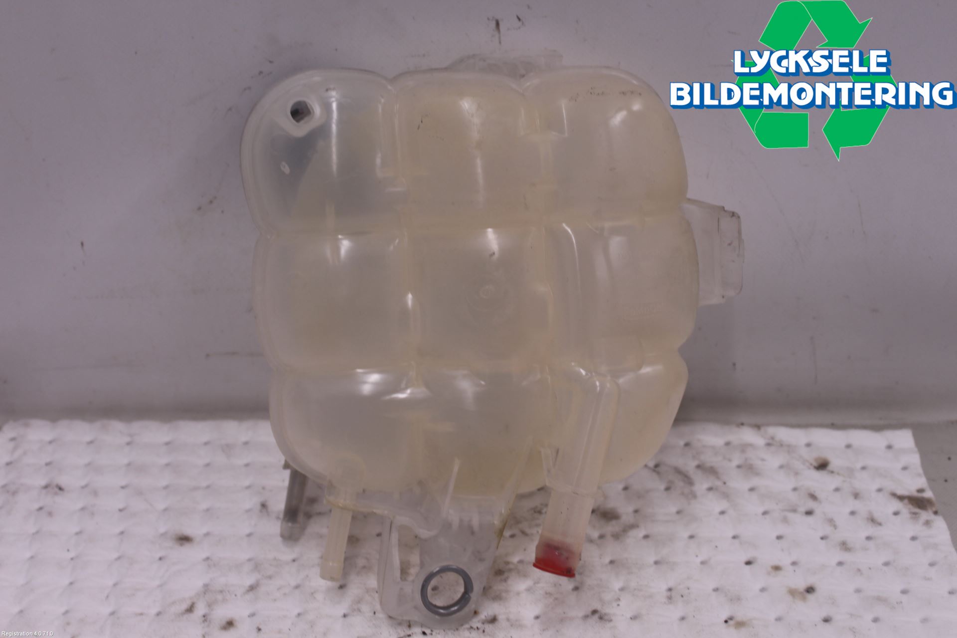 Ford FOCUS 19- Expansionstank