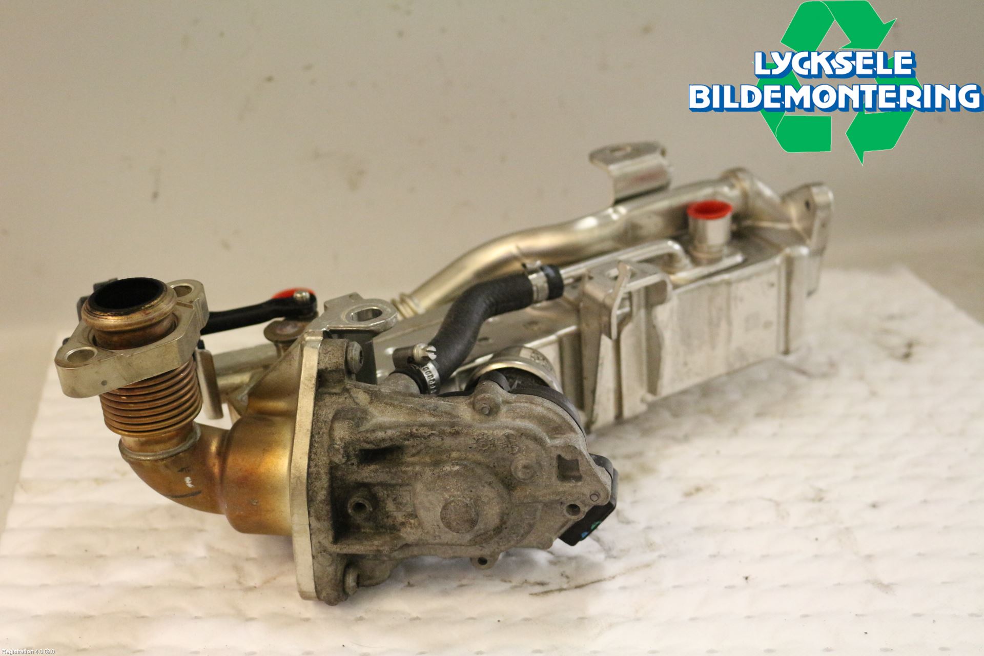 BMW 5 F10/F11/F18 09-17 Avgaskylare
