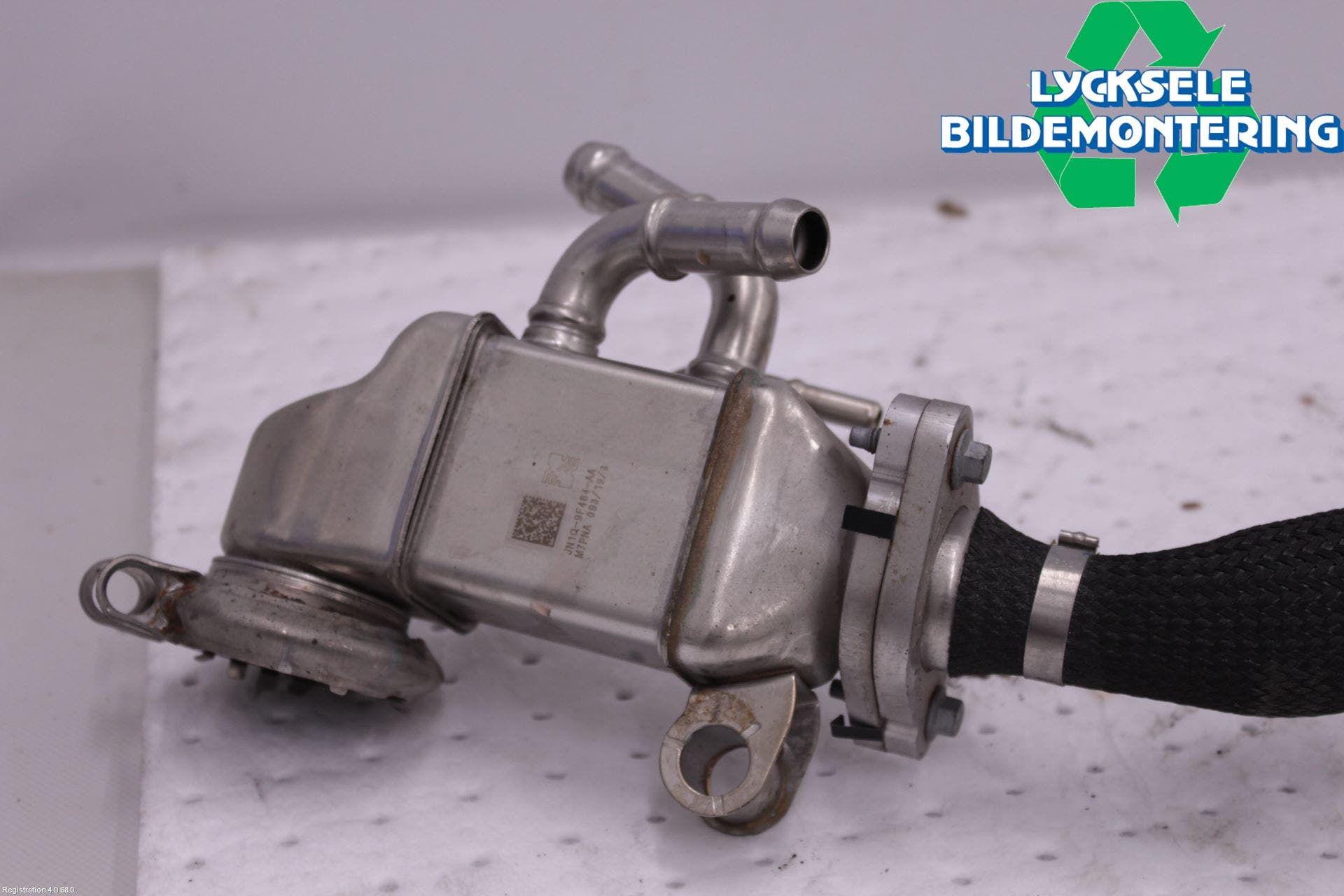 Ford FOCUS 19- Avgaskylare