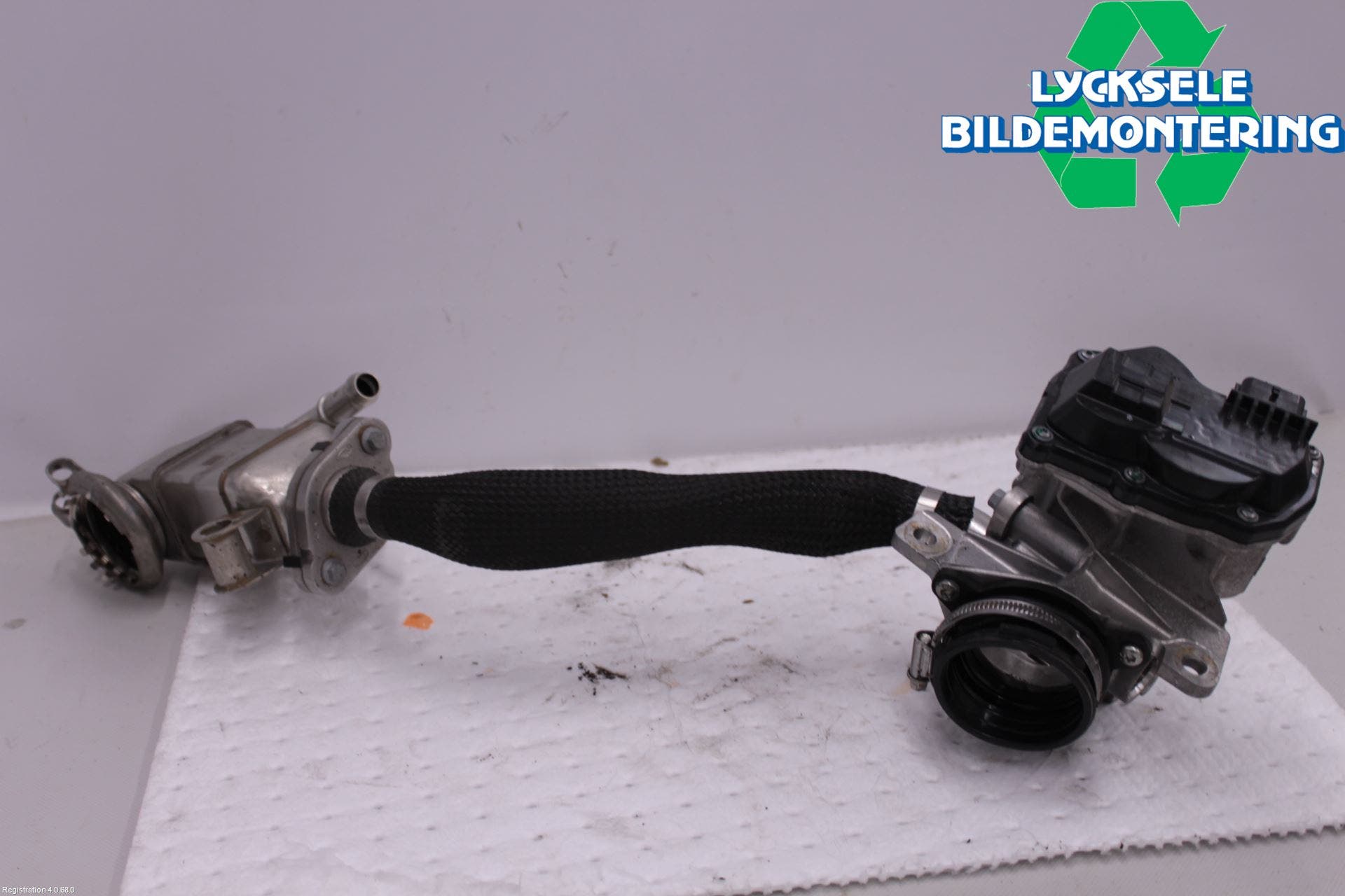 Ford FOCUS 19- Avgaskylare