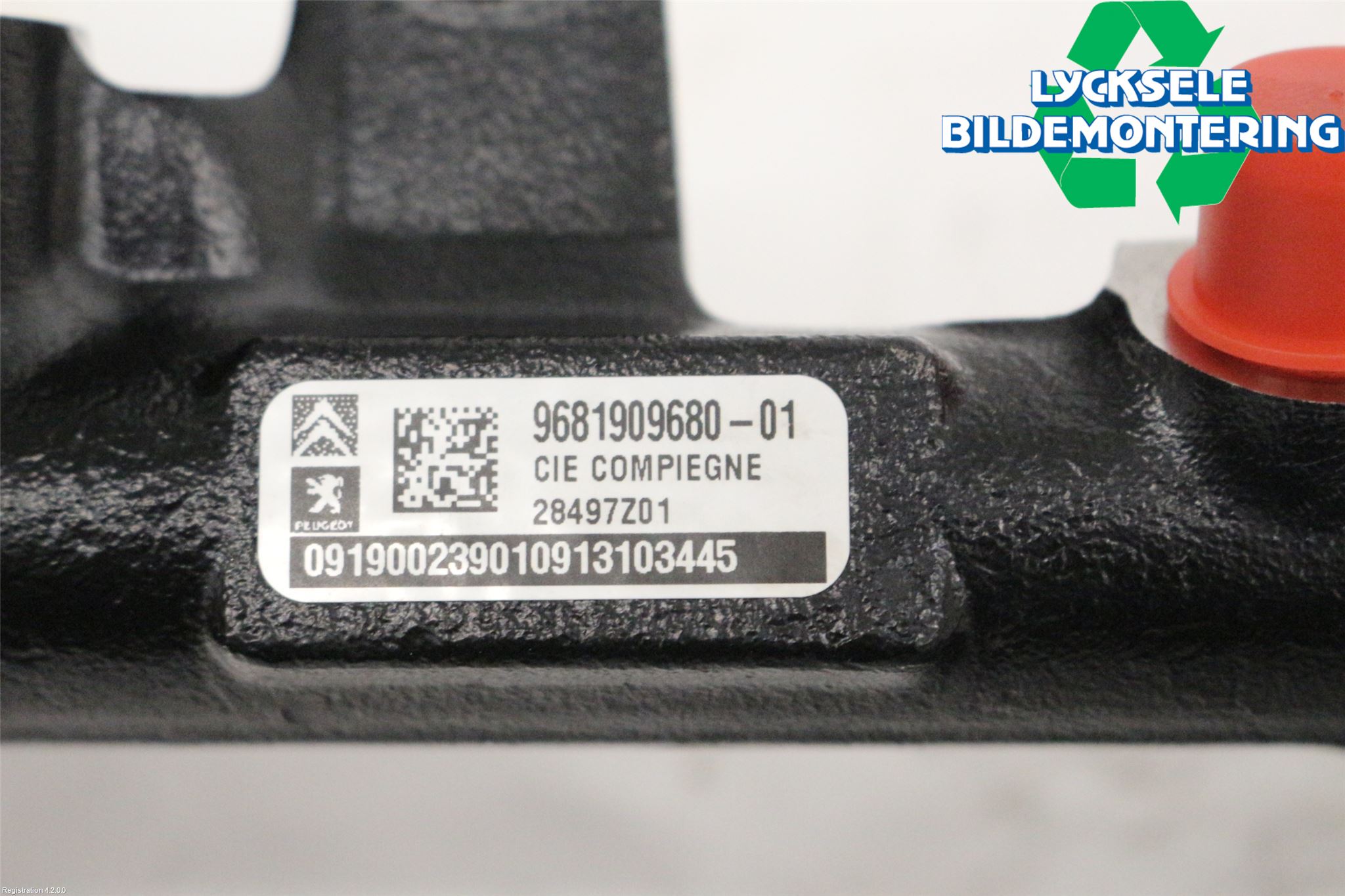 Peugeot 3008 09-16 Inj. Fuelrail