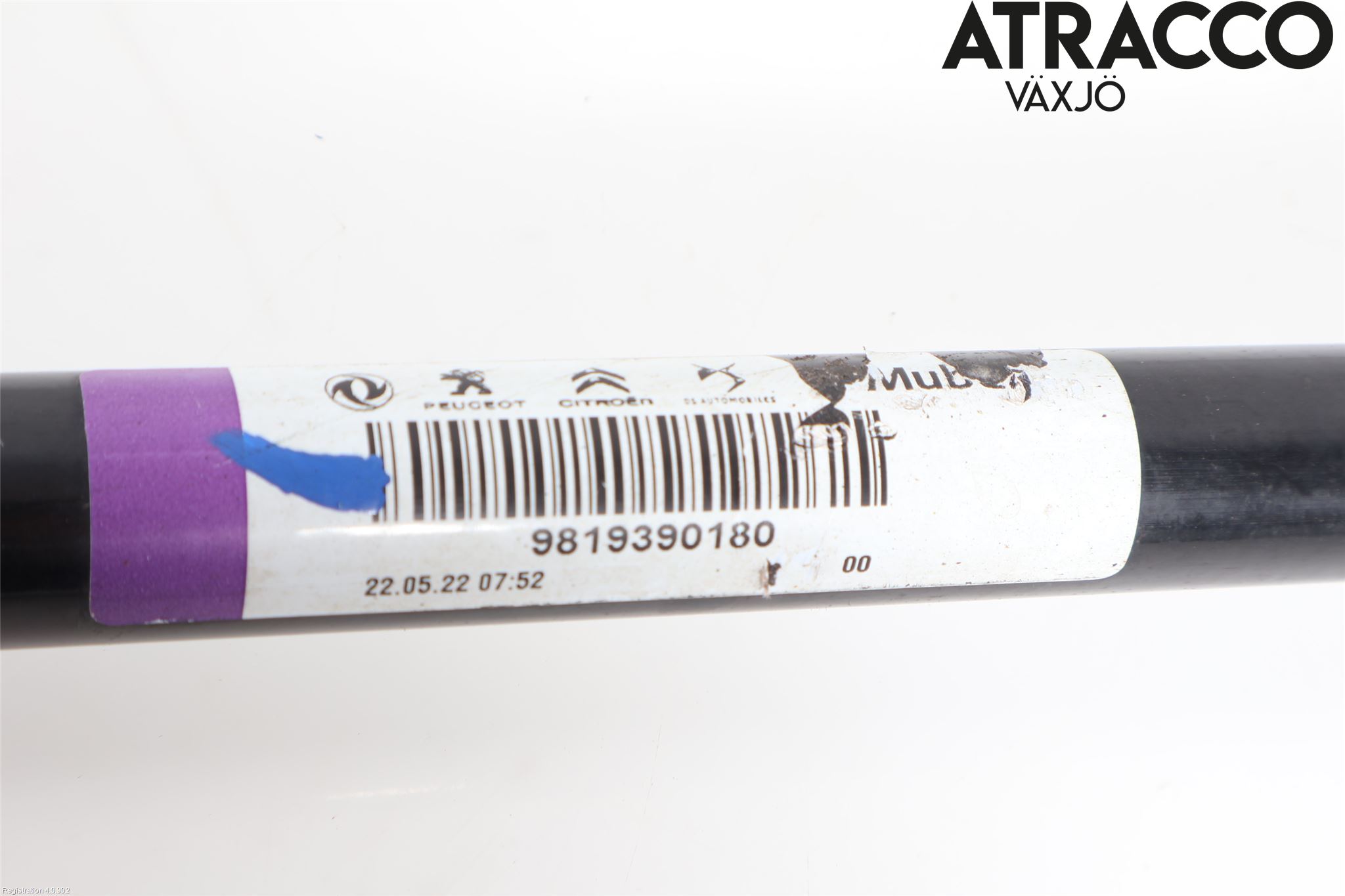 Peugeot 3008 17-24 Krängningshämmare Bak