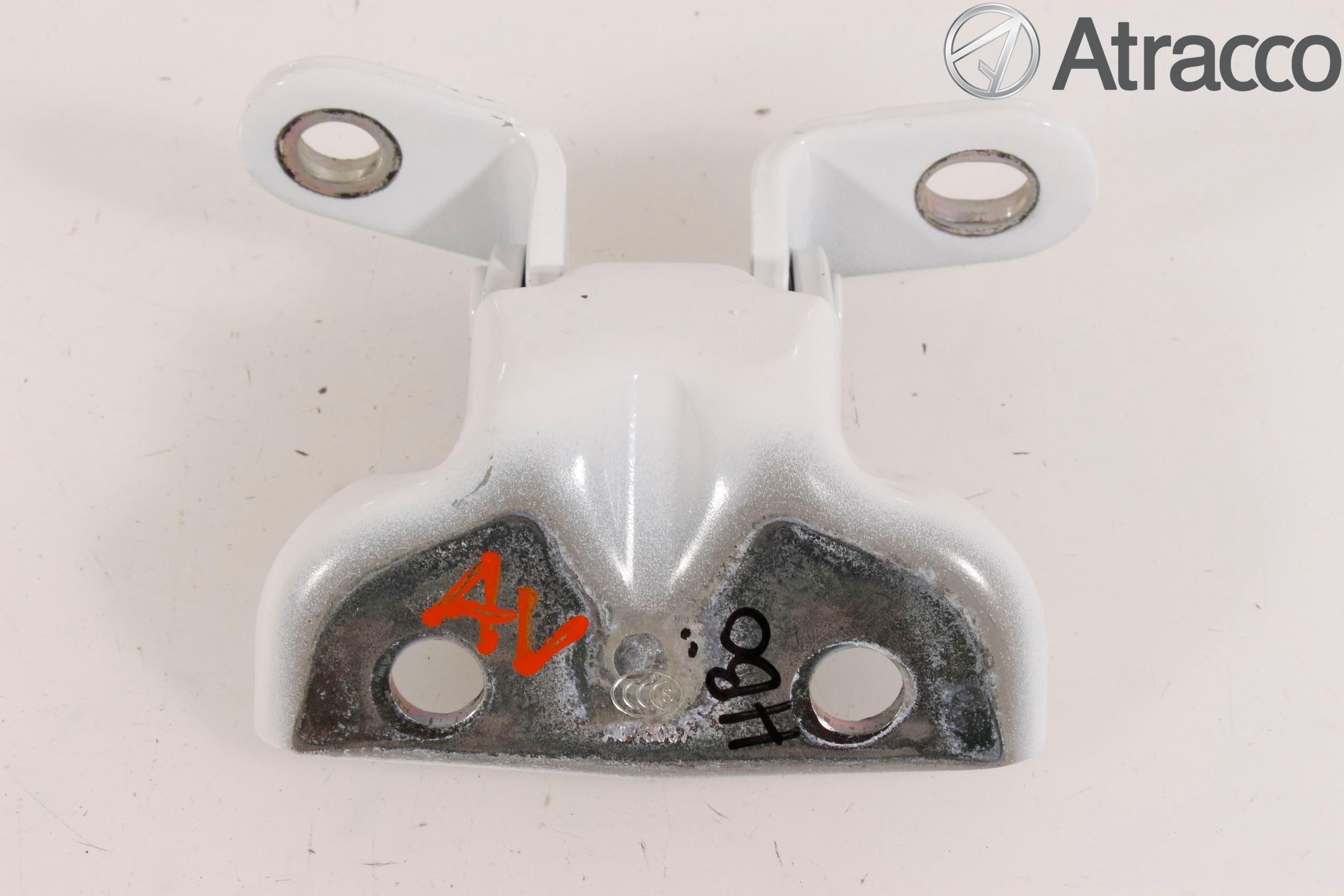 Hyundai IONIQ AE 17-22 Dörrgångjärn