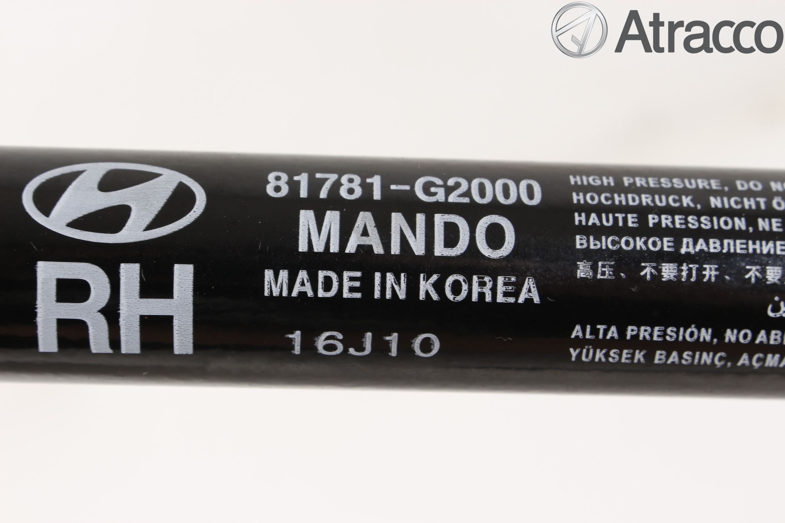 Hyundai IONIQ AE 17-22 Gasfjäder Baklucka