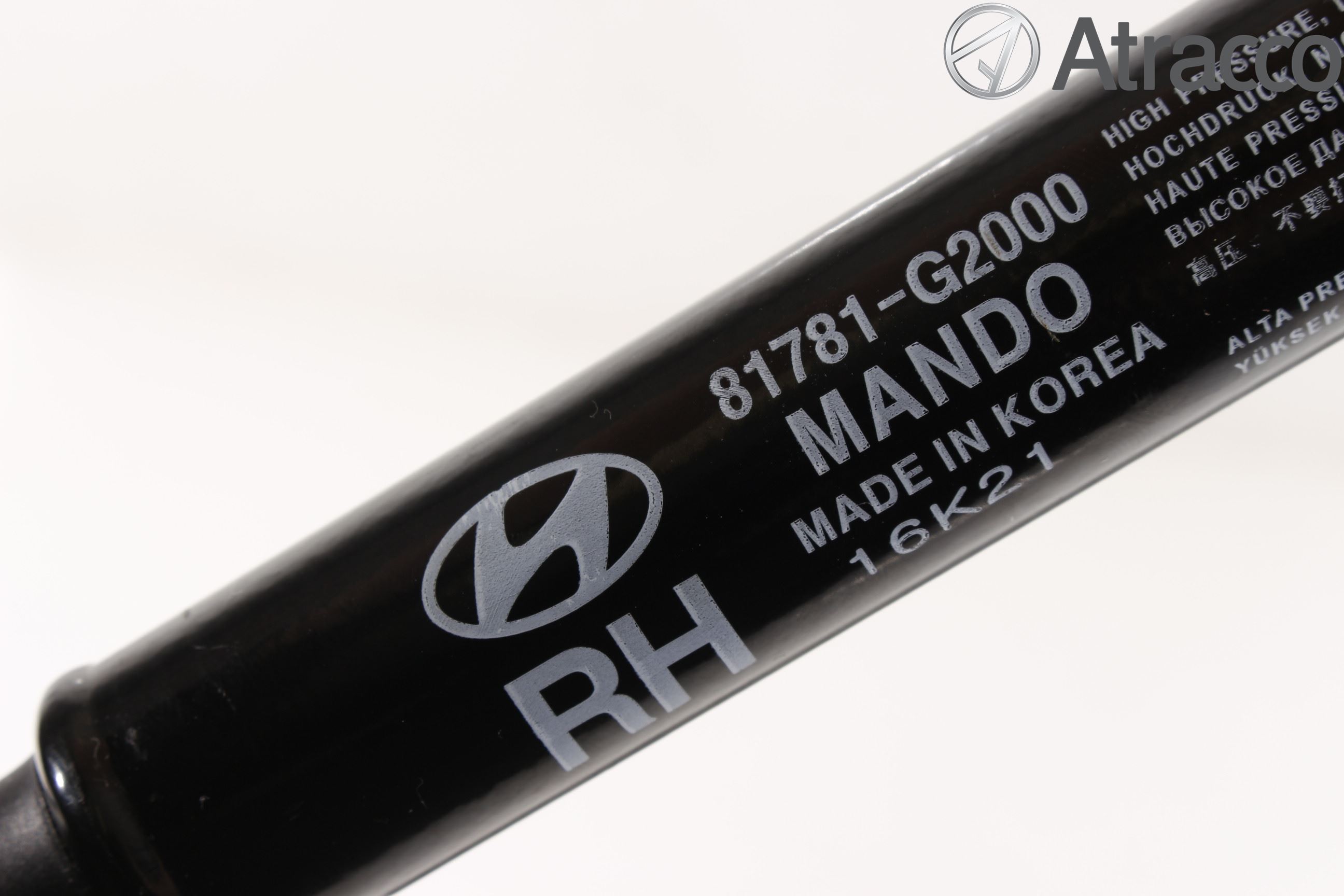 Hyundai IONIQ AE 17-22 Gasfjäder Baklucka