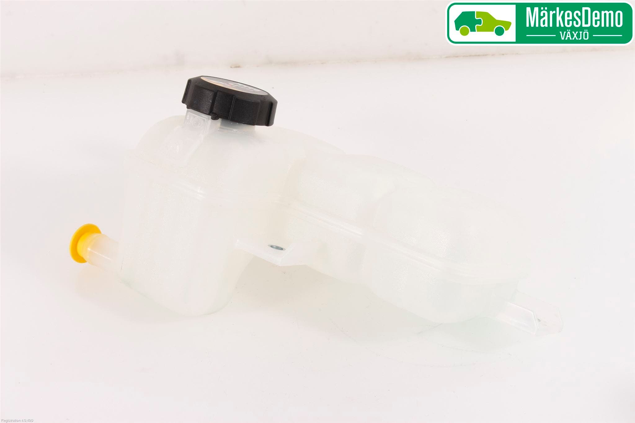 Hyundai IONIQ AE 17-22 Expansionstank