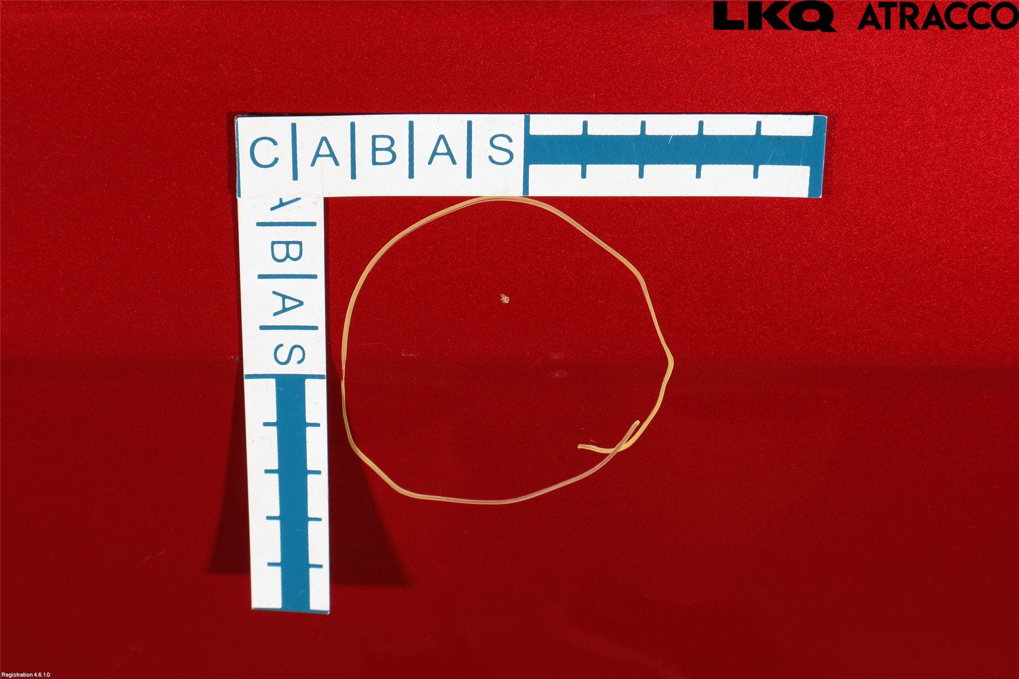 Ford FOCUS 11-14 Dörr Bak Höger