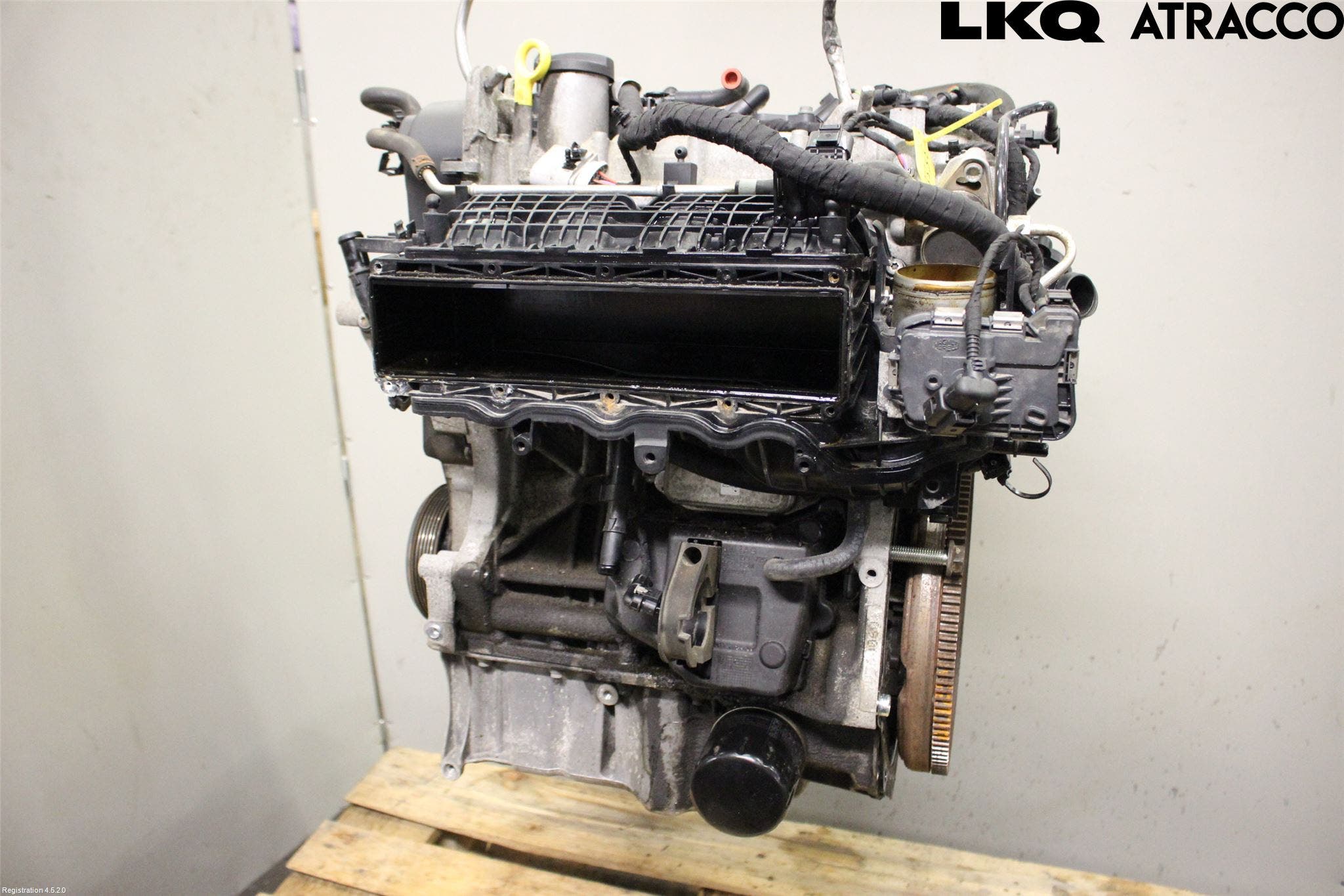 Volkswagen VW GOLF / E-GOLF VII 13-20 Motor Bensin