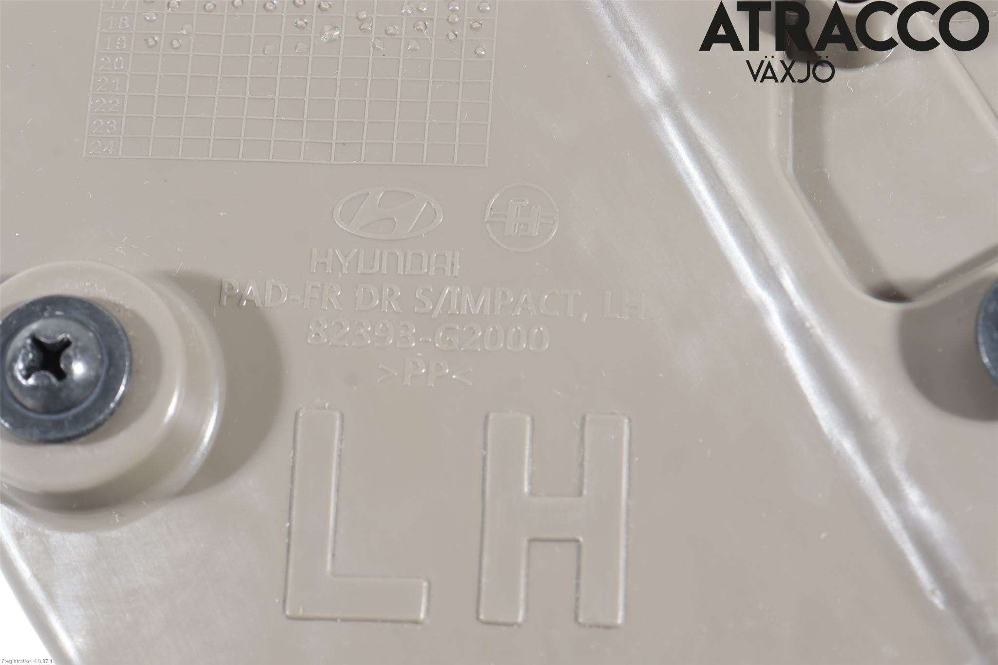 Hyundai IONIQ AE 17-22 Dörr Deformationselement