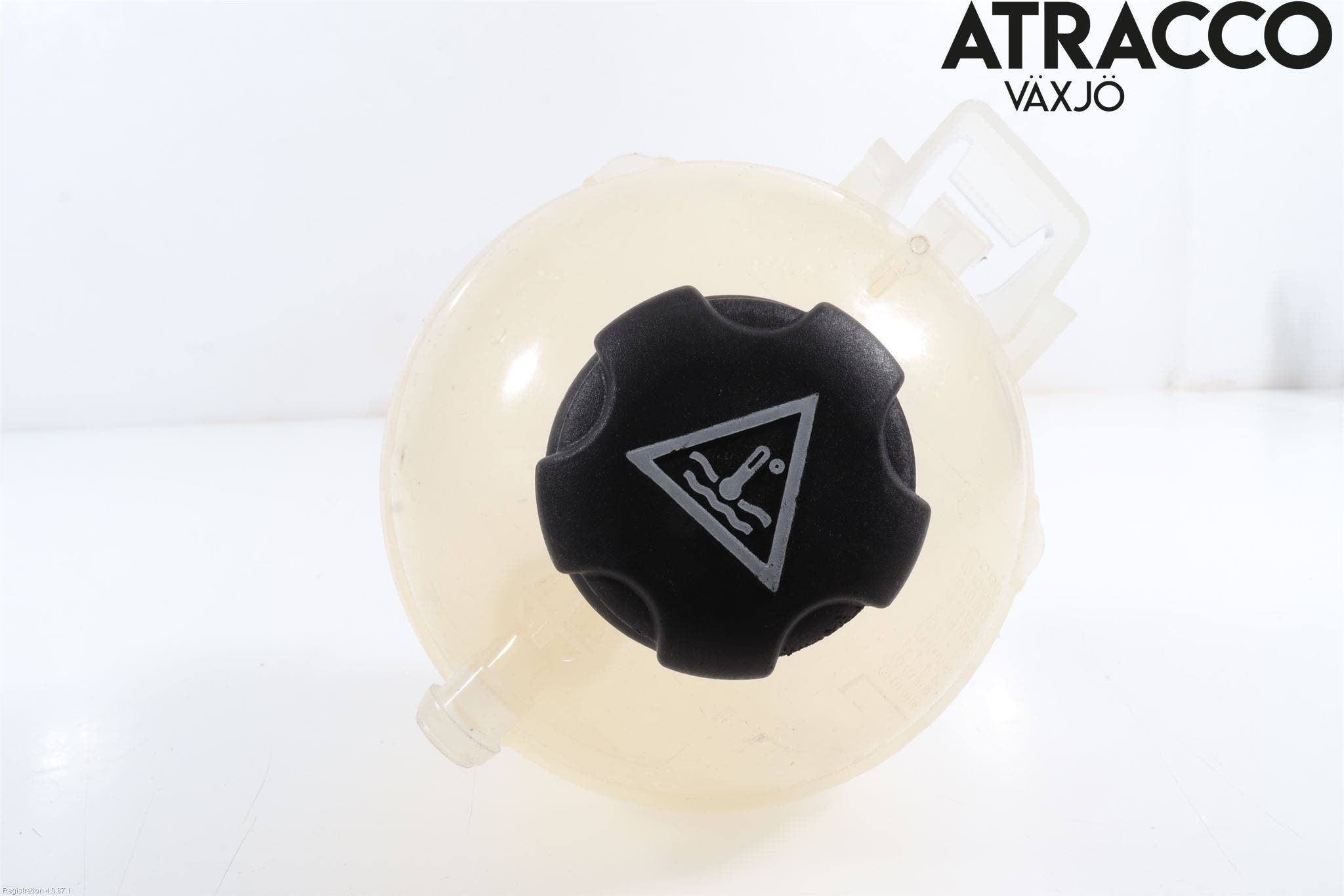 Peugeot 3008 17-24 Expansionstank