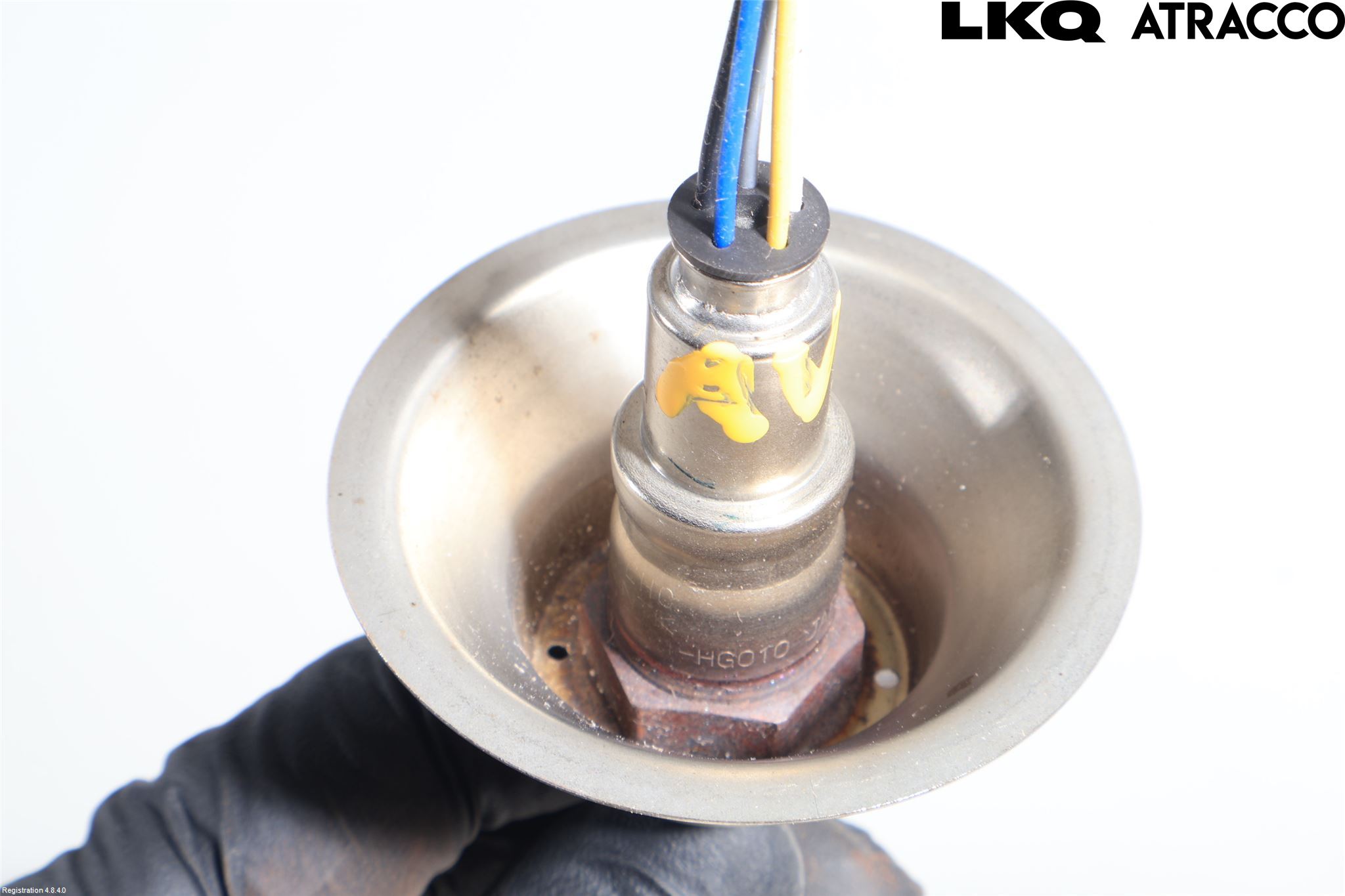 Honda JAZZ 21- Injlambdasond